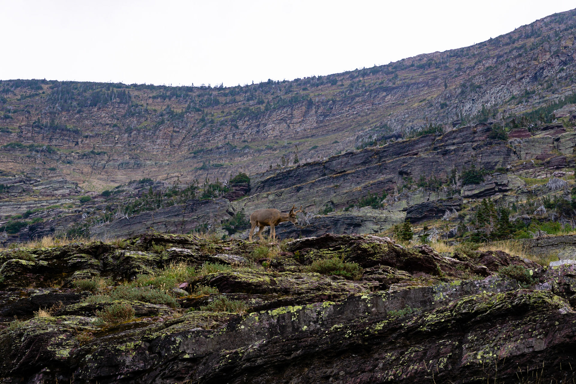 Glacier National Park - Grinnell Glacier