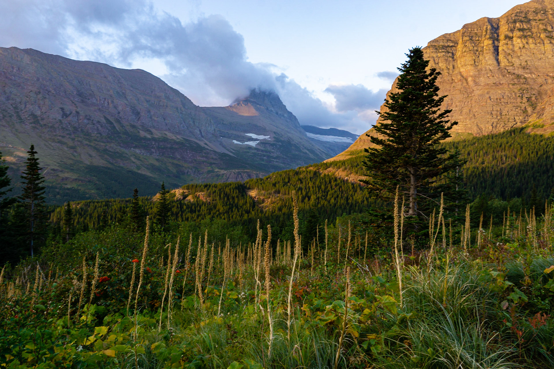 Glacier National Park - Ptarmigan Lake Trail