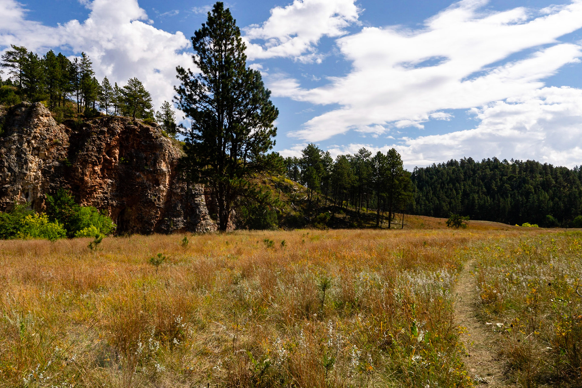 Wind Cave - Lookout Point and Centennial Trail