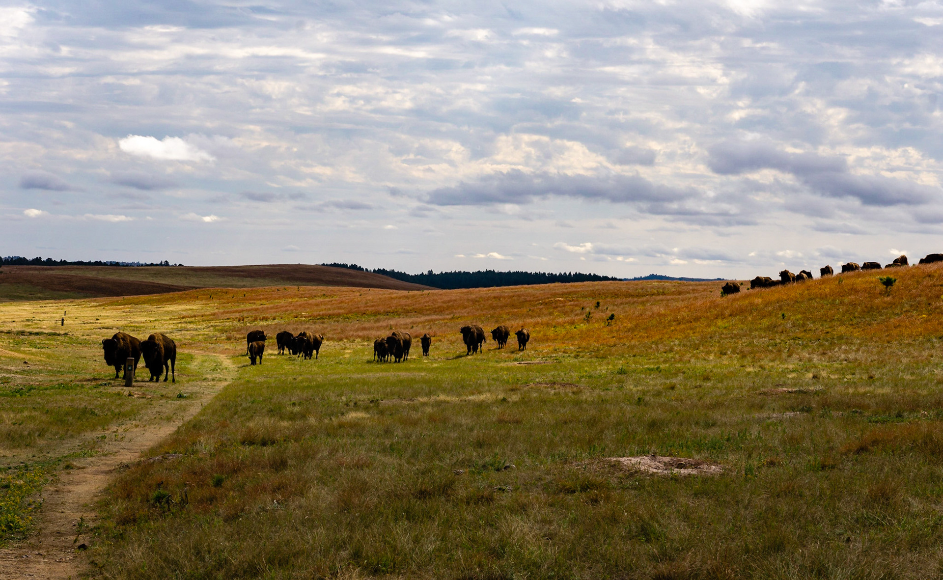 Wind Cave - Lookout Point and Centennial Trail