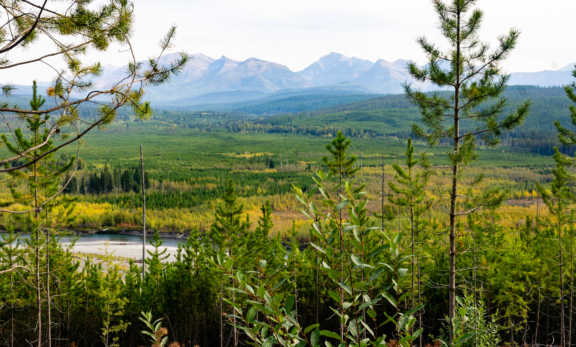 Glacier National Park - North Fork Road