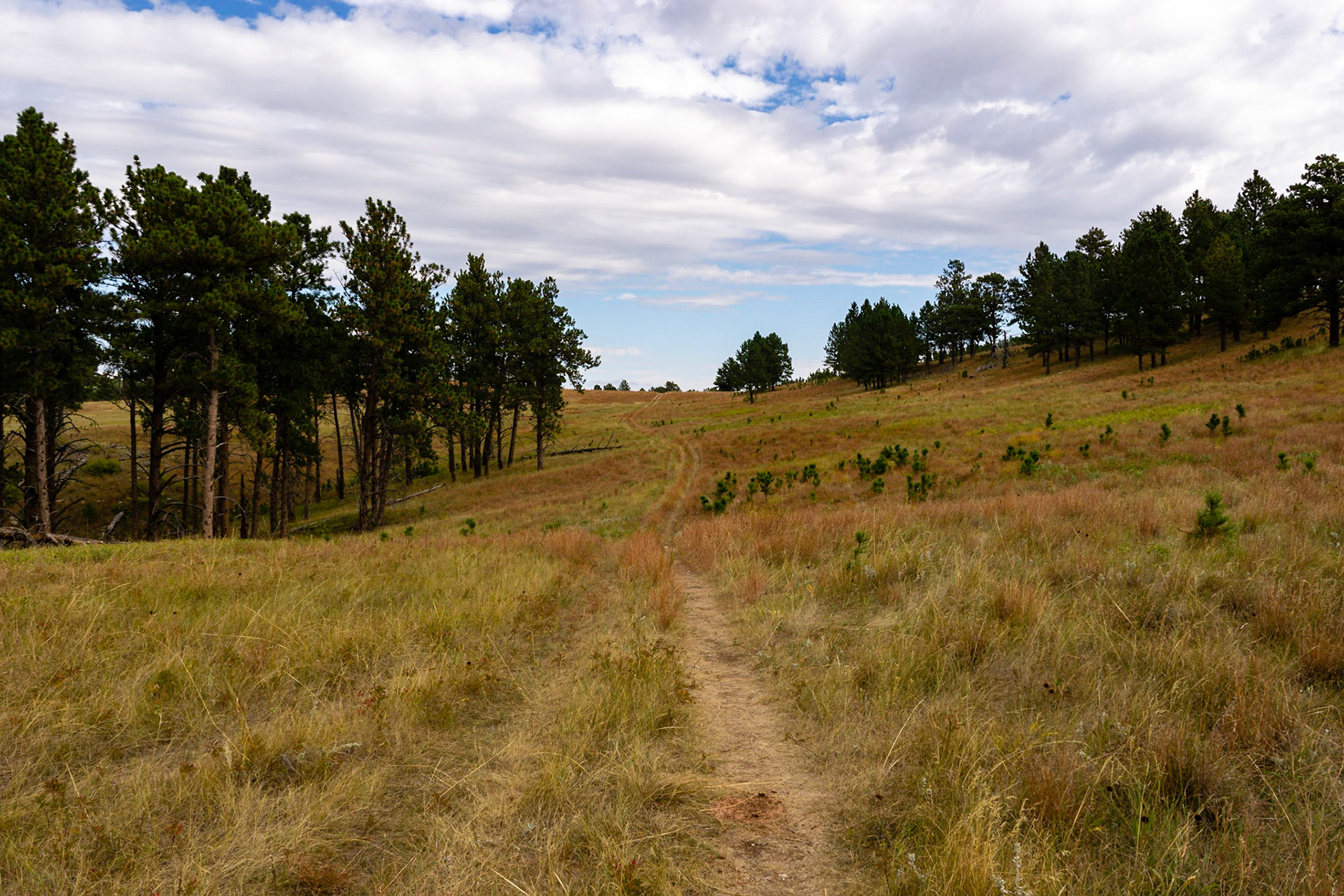 Wind Cave - Lookout Point and Centennial Trail