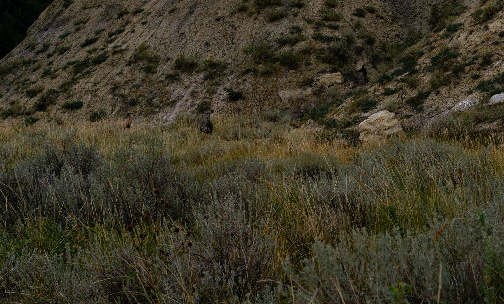Theodore Roosevelt National Park - The Big Plateau and Ekblom Trail