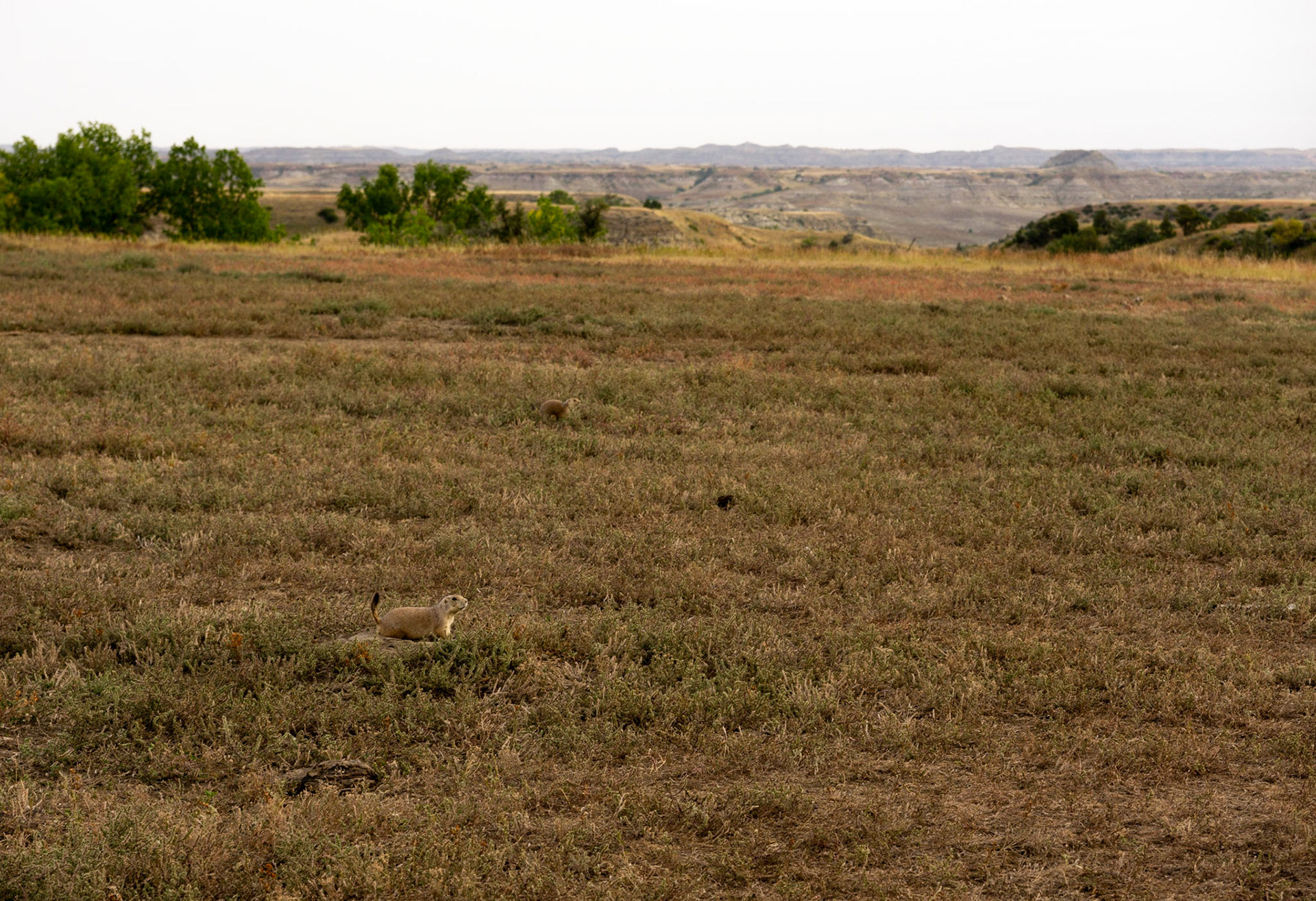 Theodore Roosevelt National Park - The Big Plateau and Ekblom Trail