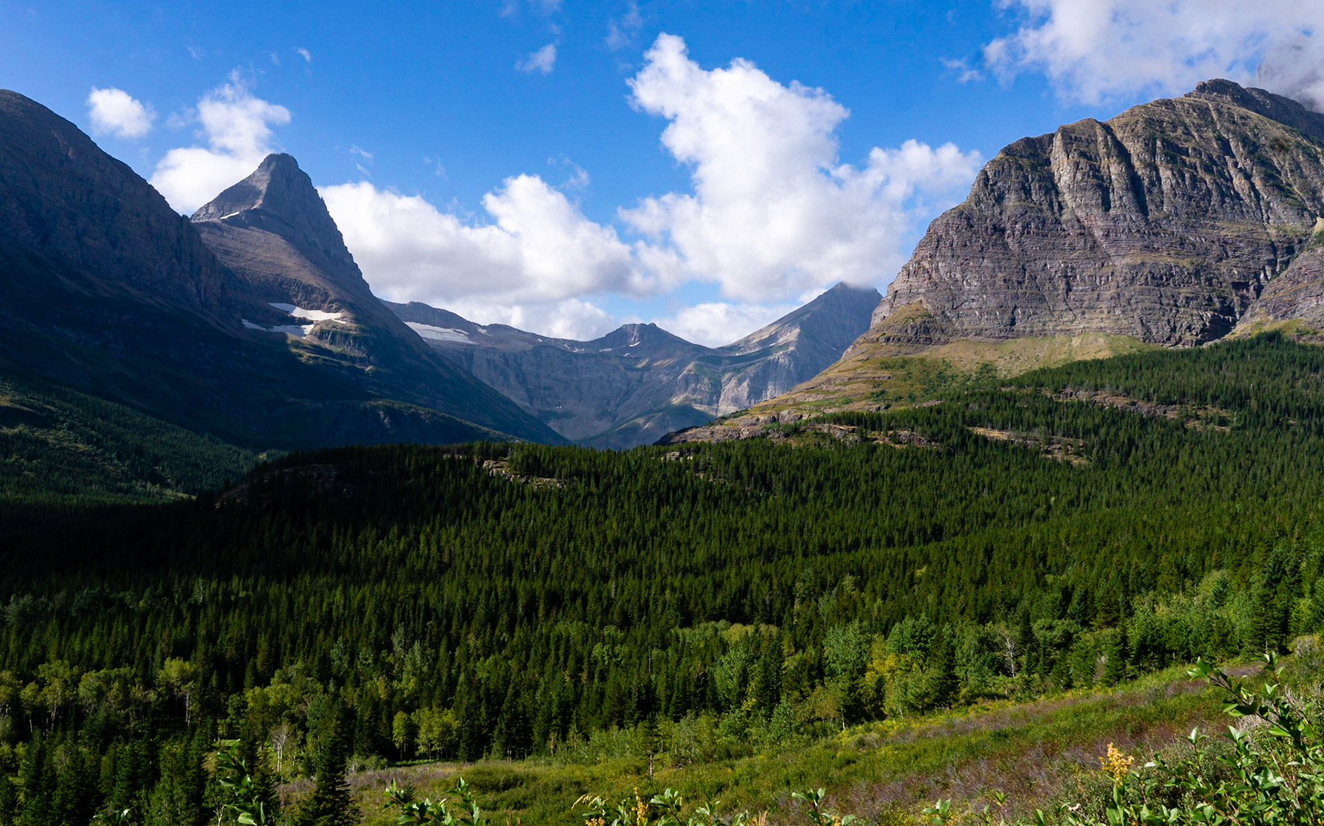 Glacier National Park - Ptarmigan Lake Trail
