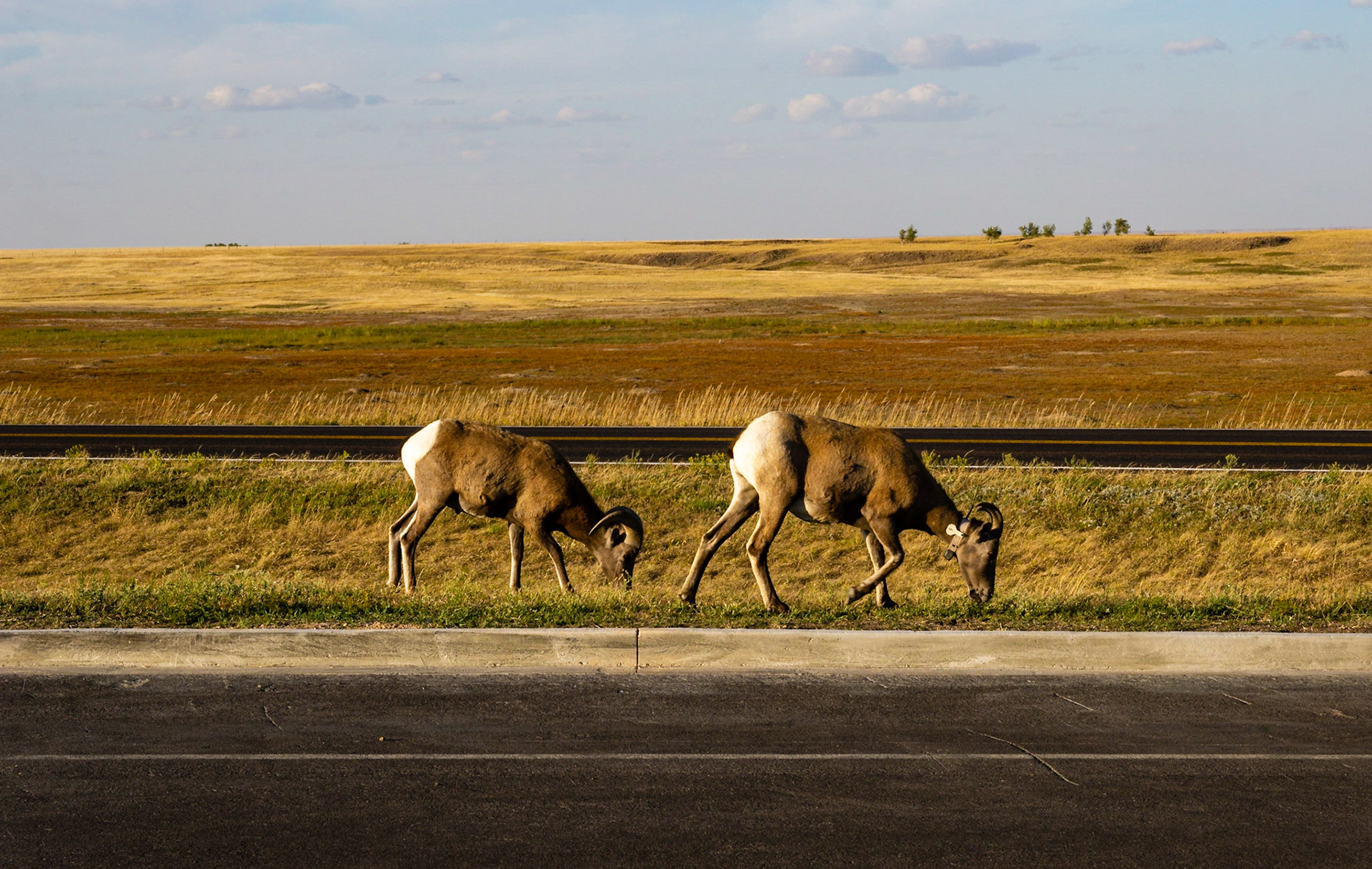 Badlands Loop Road