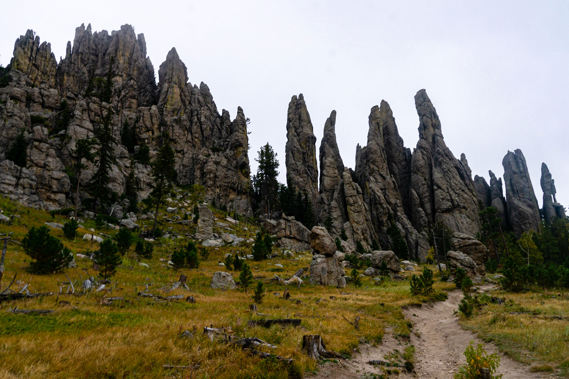 Custer State Park.- Cathedral Spires