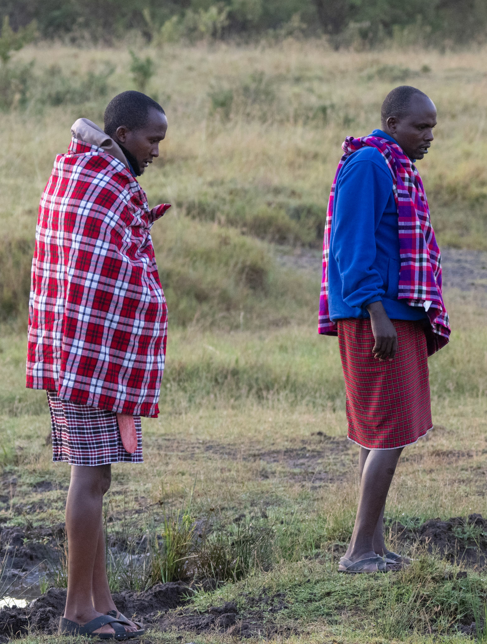 Francis &amp; John Mark