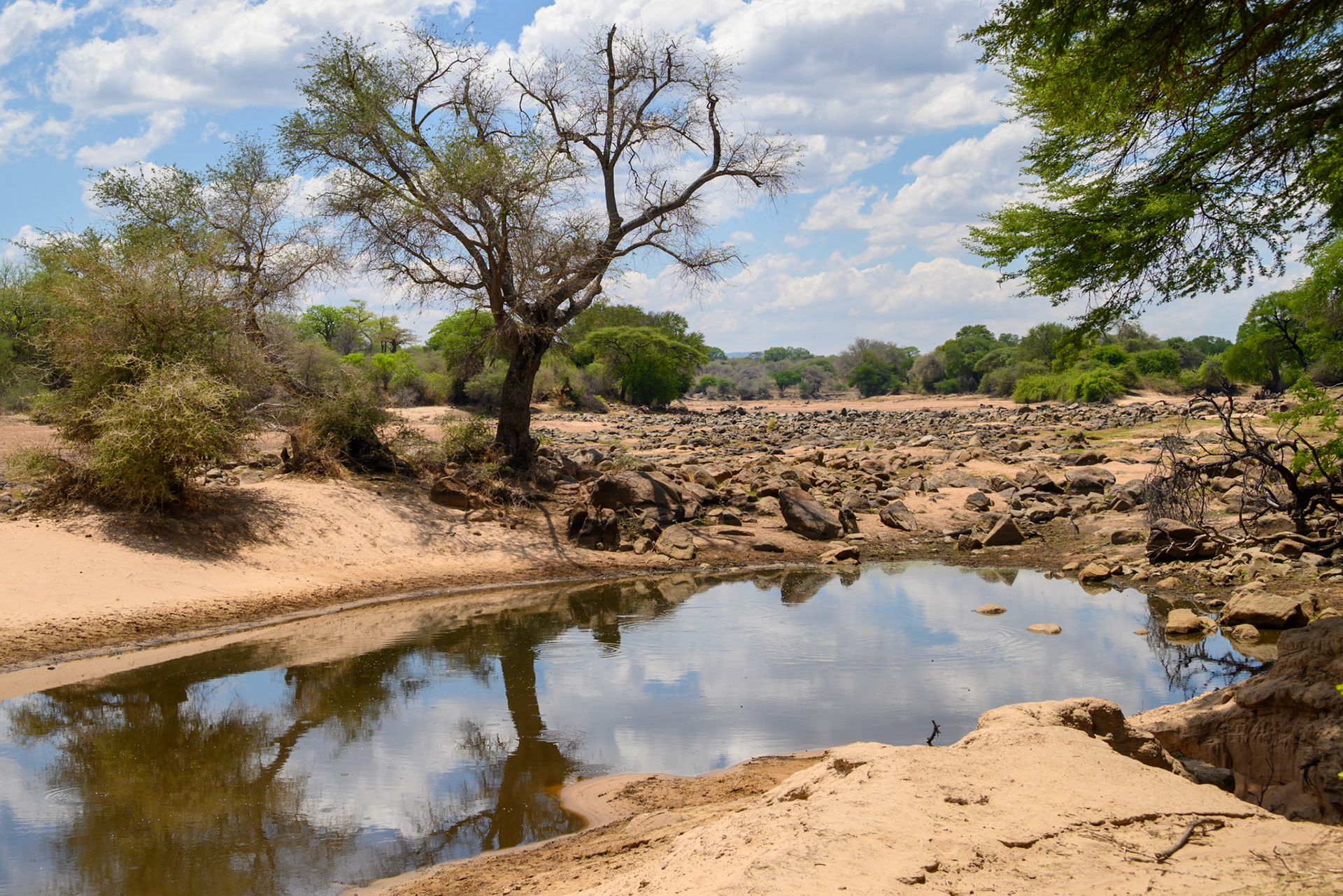 Dry river bed + pools