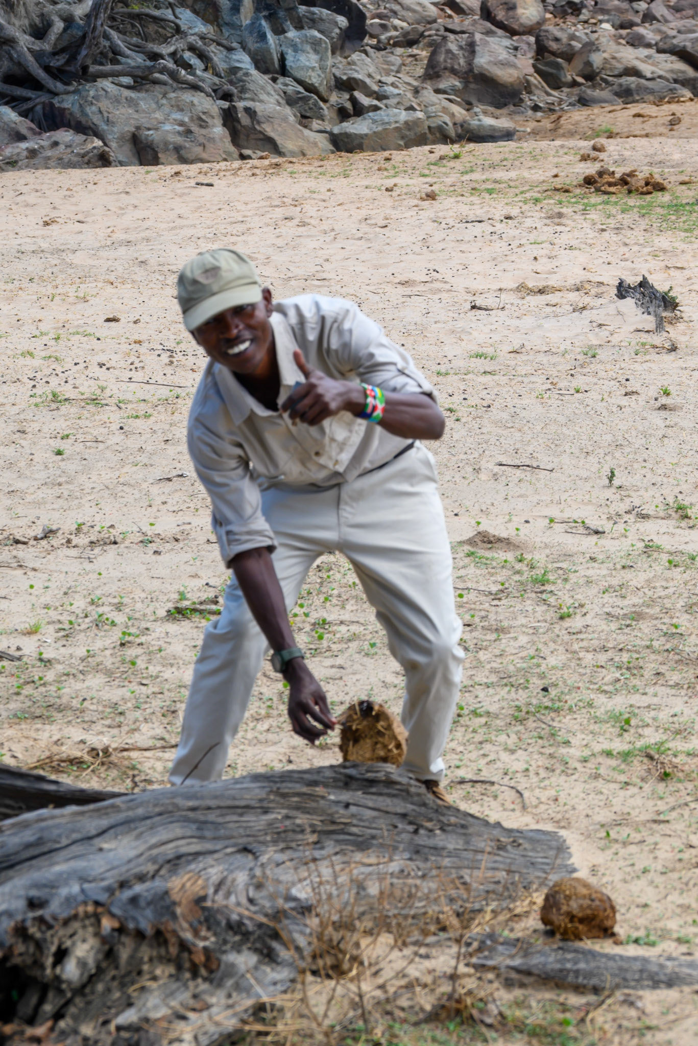 Elephant dung / anti Tsetse