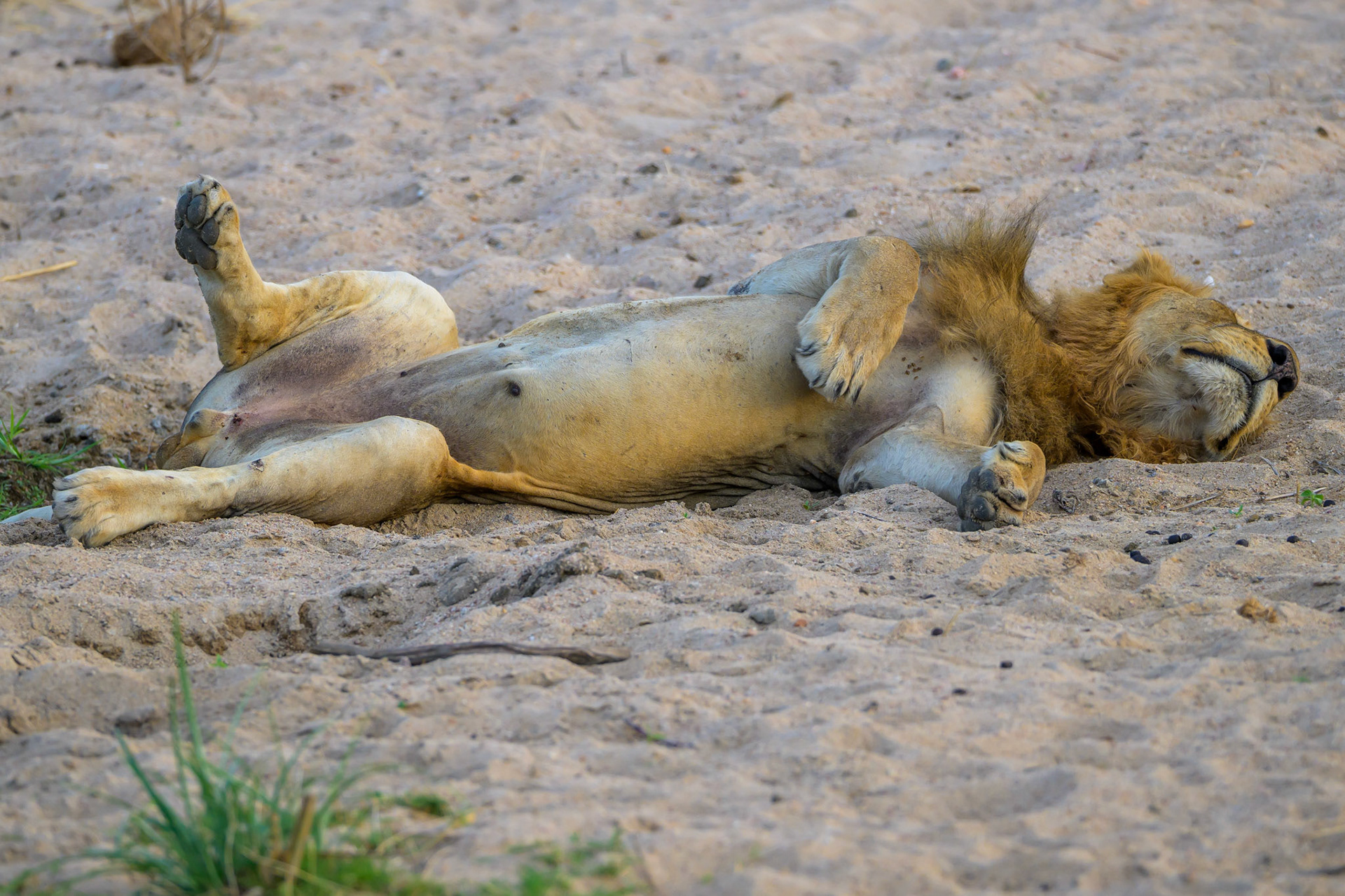 Can't keep up with these youngsters