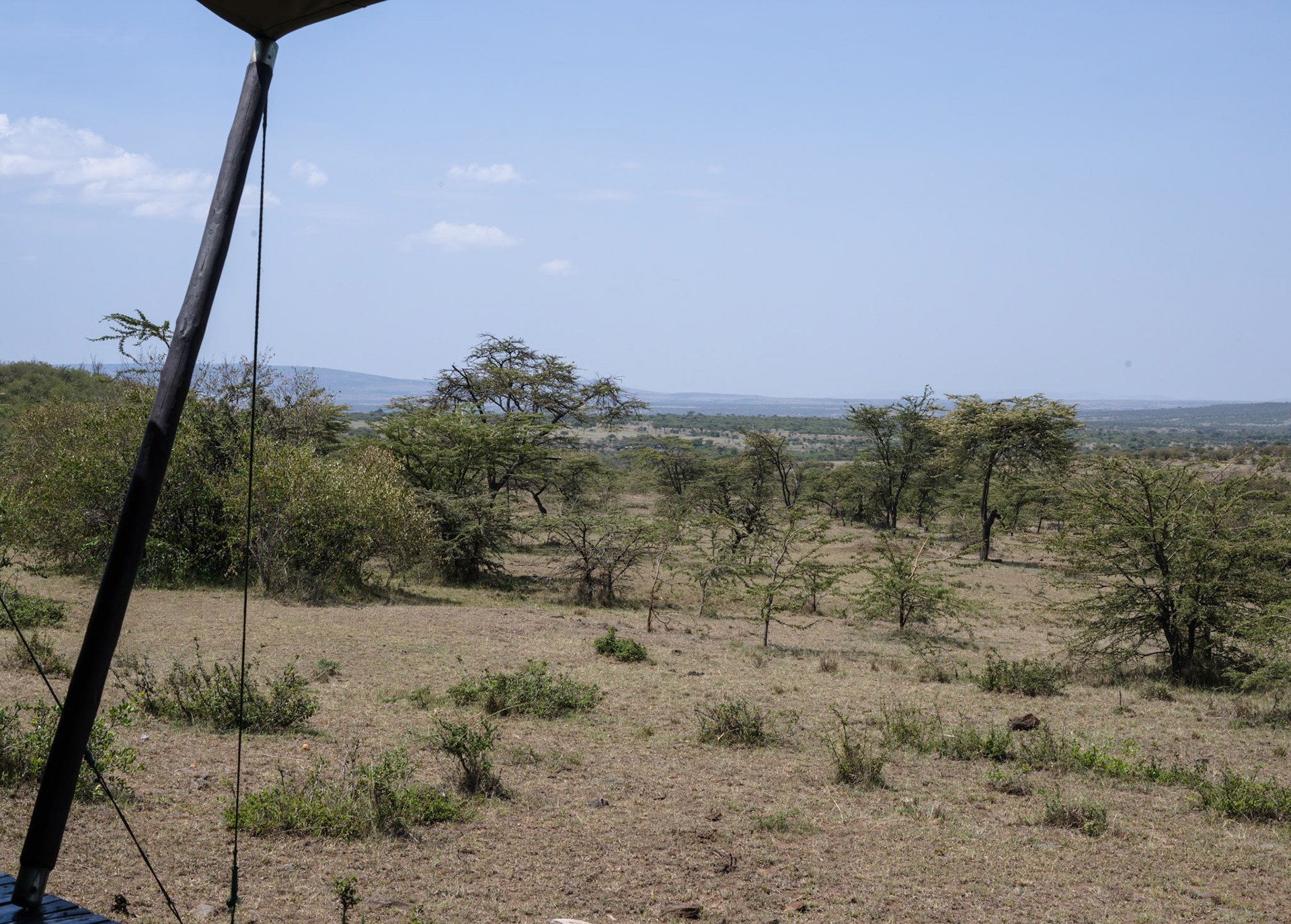 Tent View, Kicheche Valley