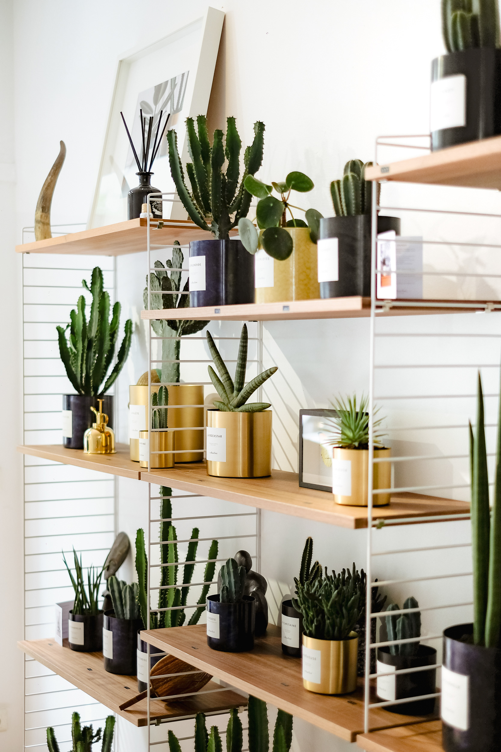 Showroom - By Charlotte - Paris