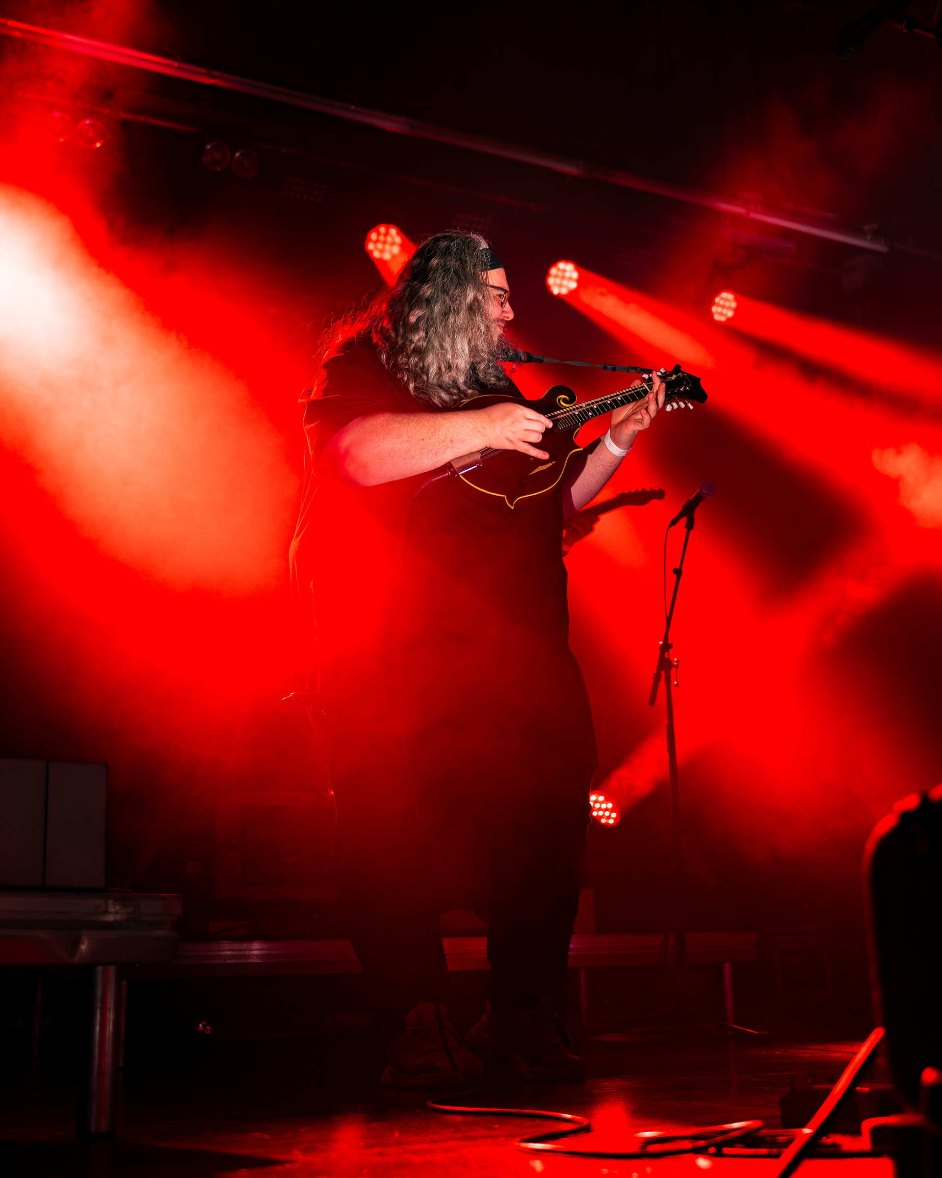 Elephant Sessions, Albert Halls