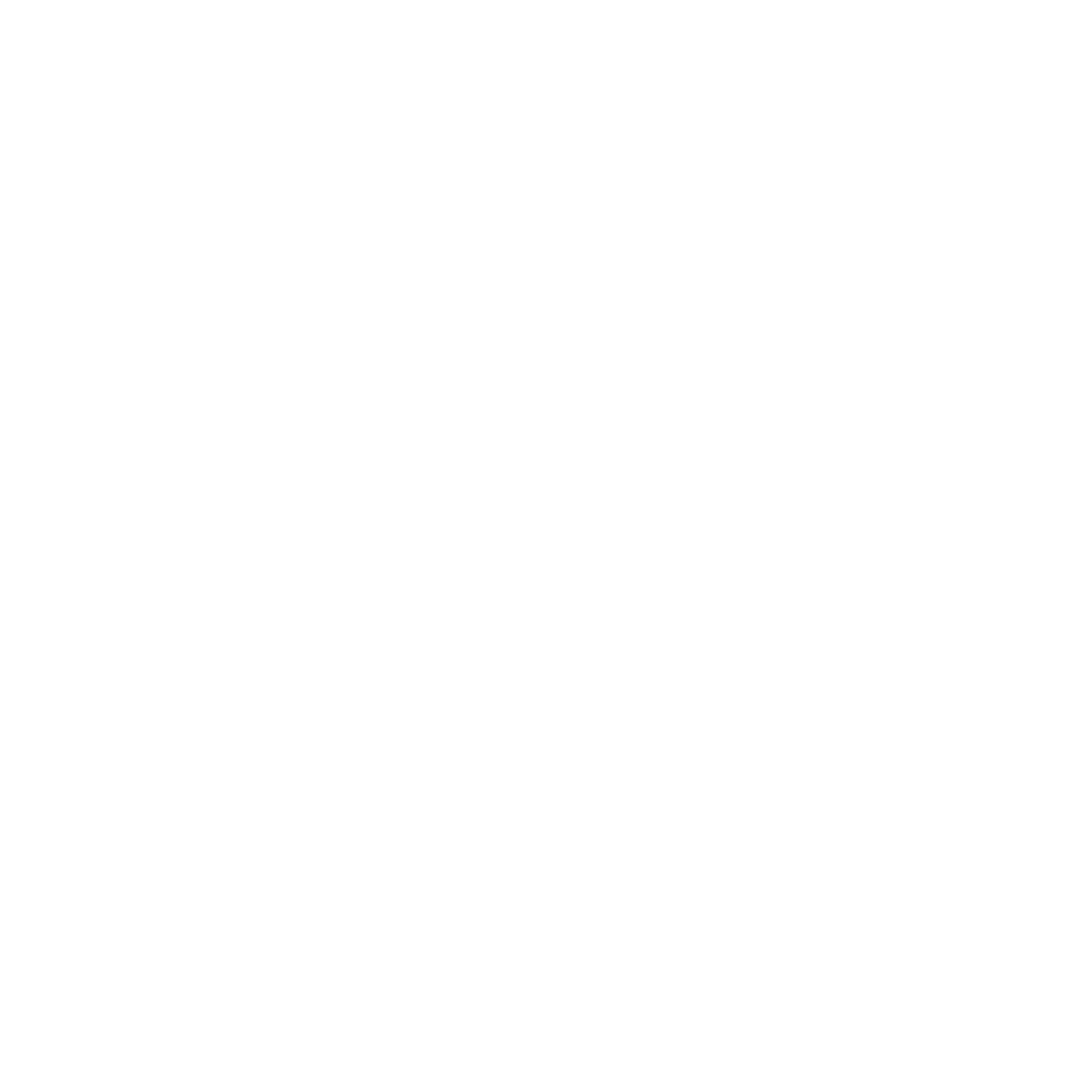 Zen 101 logo