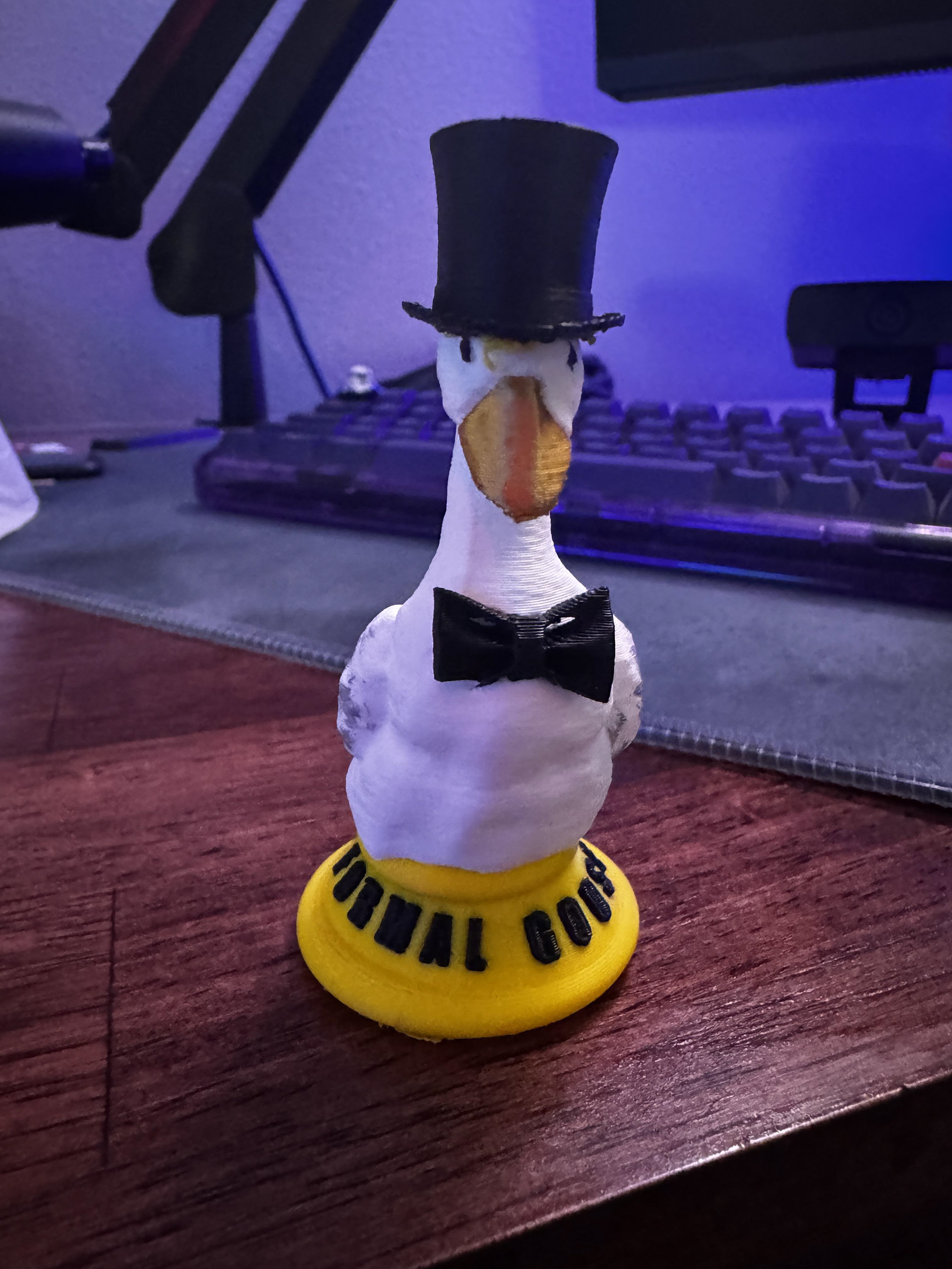 This is the FORMAL GOOSE The first in a series of goosings. Keep it, share it, toss it, up to you. Just trying to find ways to entertain myself  BUT Hey  YOU GOT GOOSED...FORMALLY