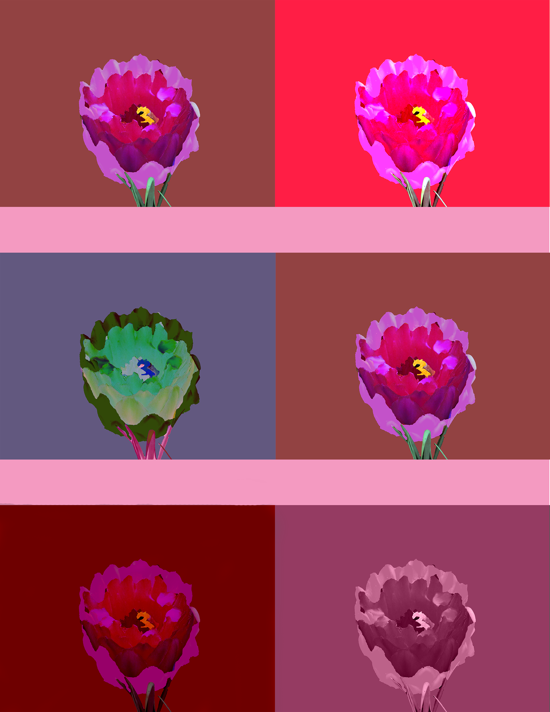 Pop art flower repeated (2019)