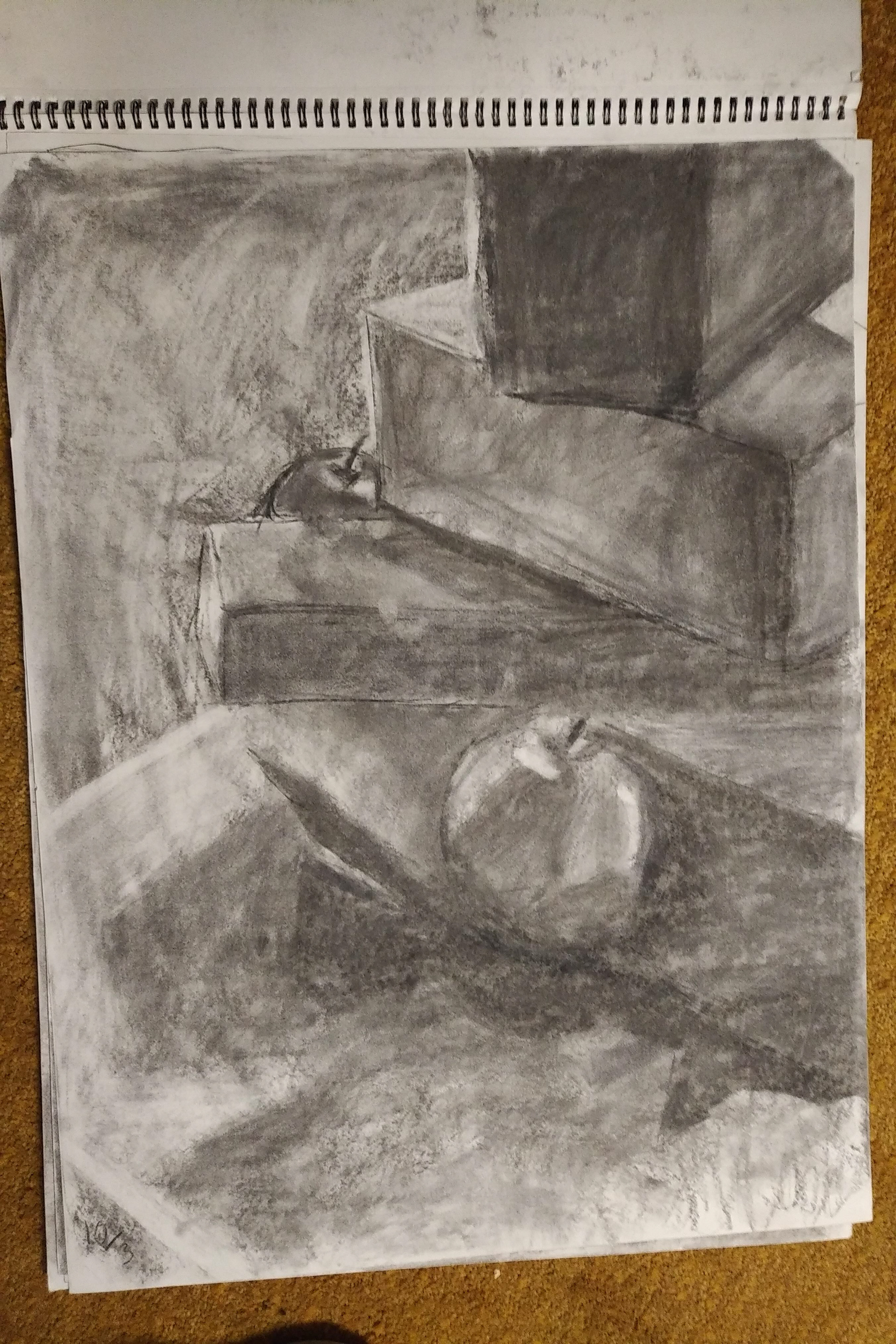 Object shadow drawing with charcoal for first art class