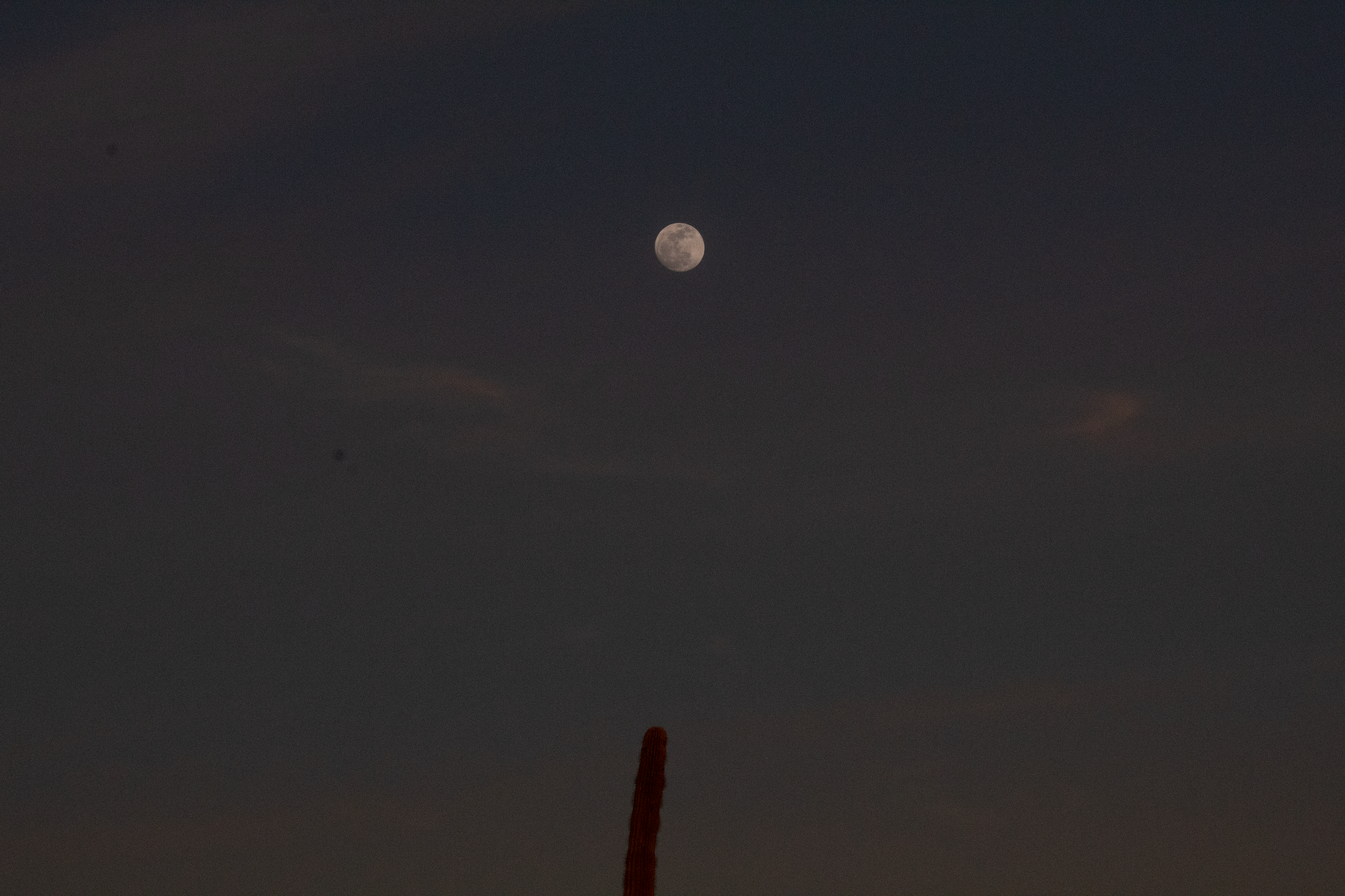Moon over cactus o'clock (2019)