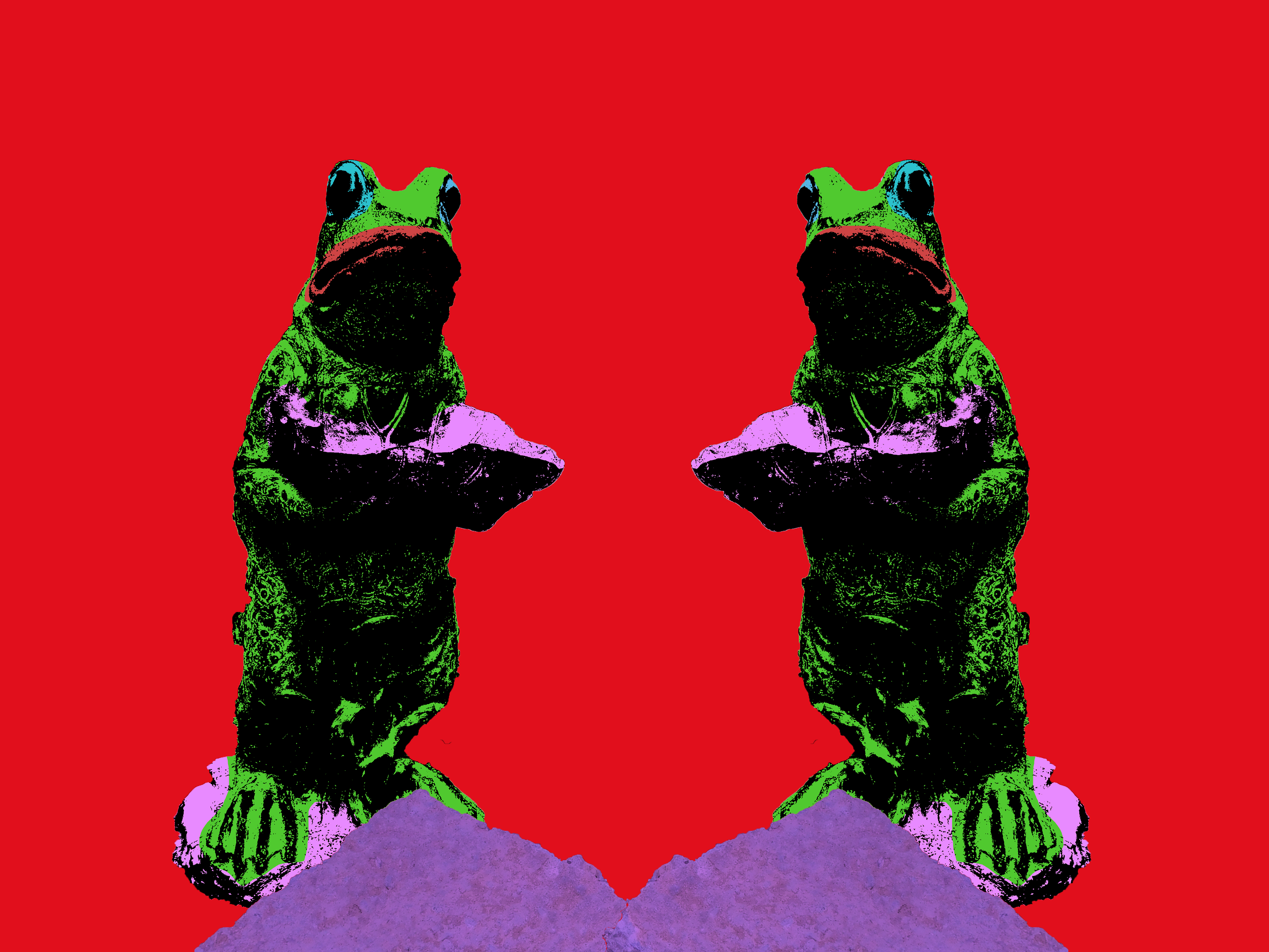 Pop art frog (2019)