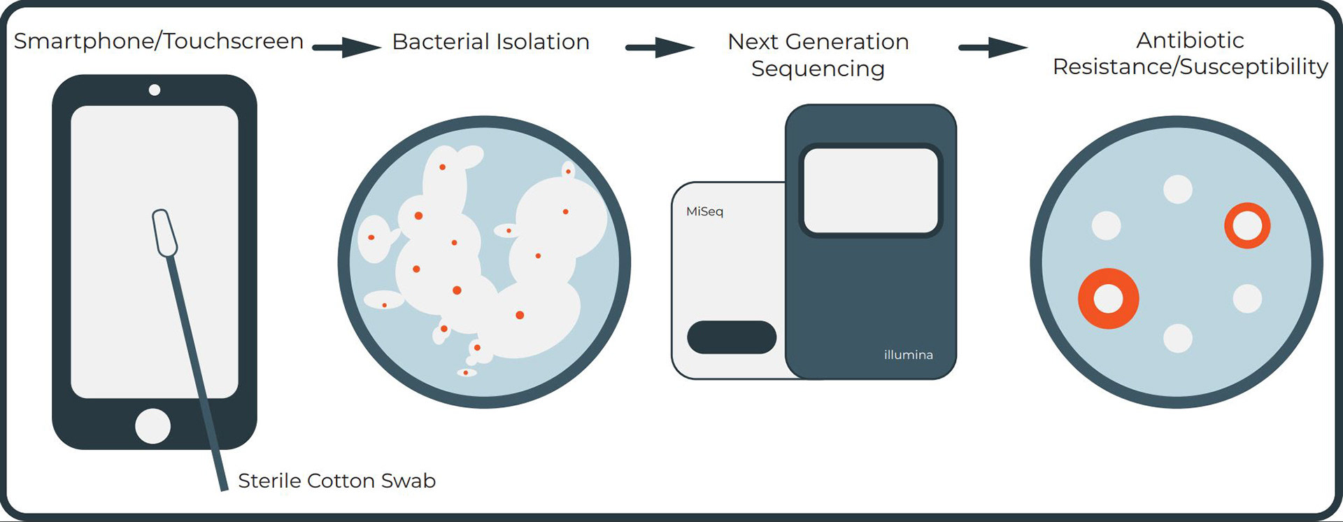 Graphical Abstract - Fall 2018 - Created for a genomics class where I helped publish a research paper with my classmates