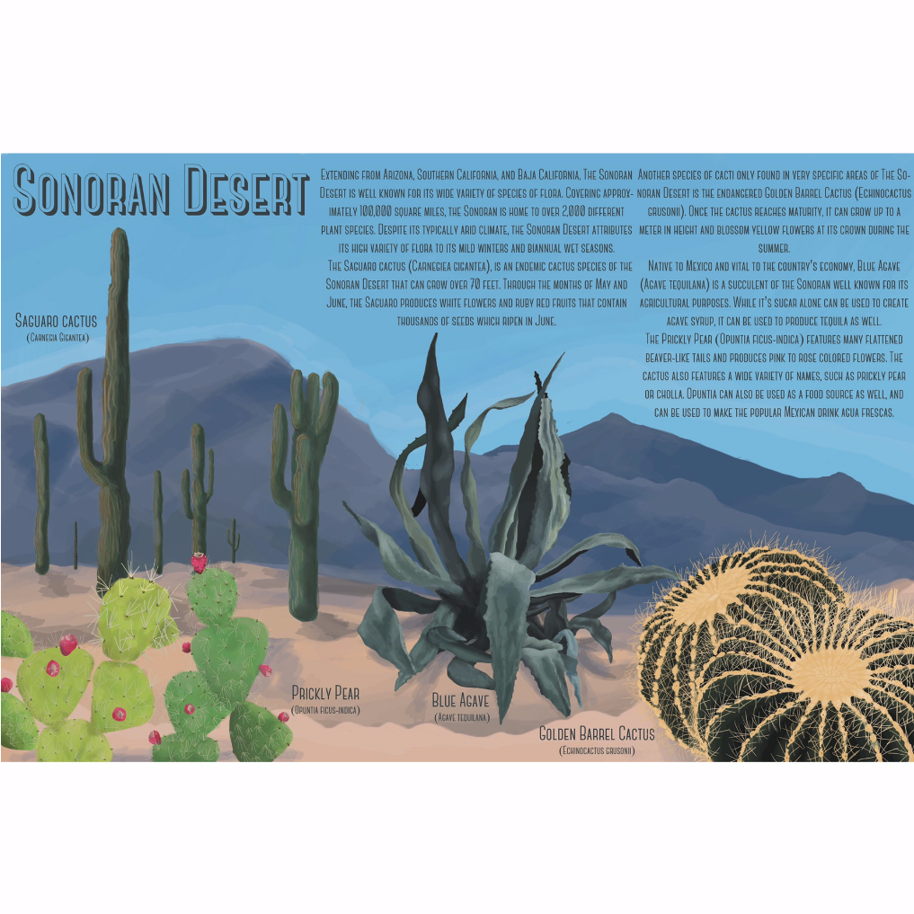Sonoran Desert Zoo Plate - Fall 2016 - Digital Illustration