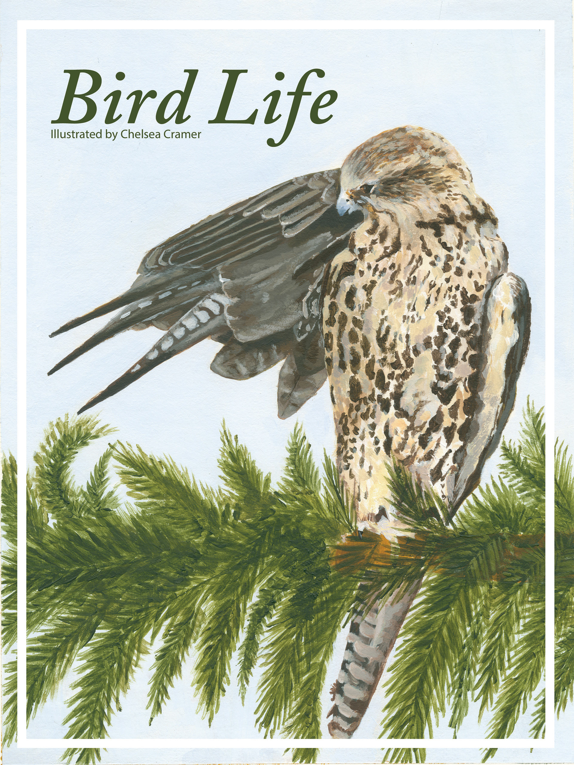 Bird Life cover - Fall 2016 - Acrylic paint
