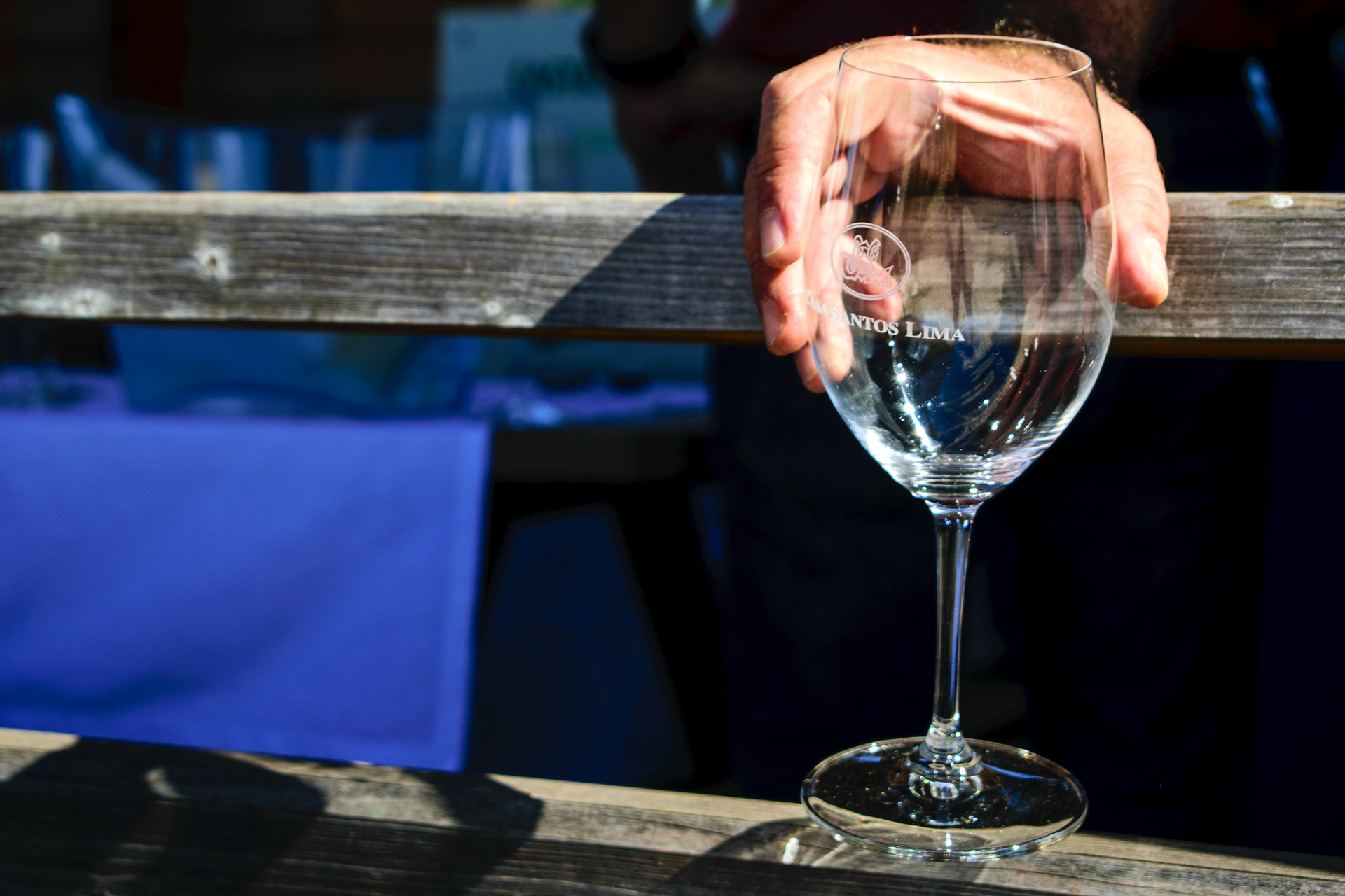 Reportagem nas vinhas de Lisboa. 04.Out.2018