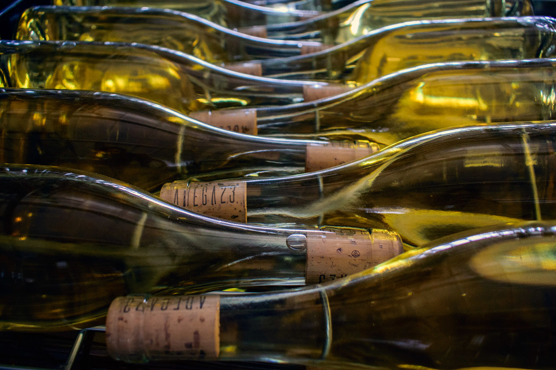 Adega 23. Sarnadas de Rodão.  14.Set.2018