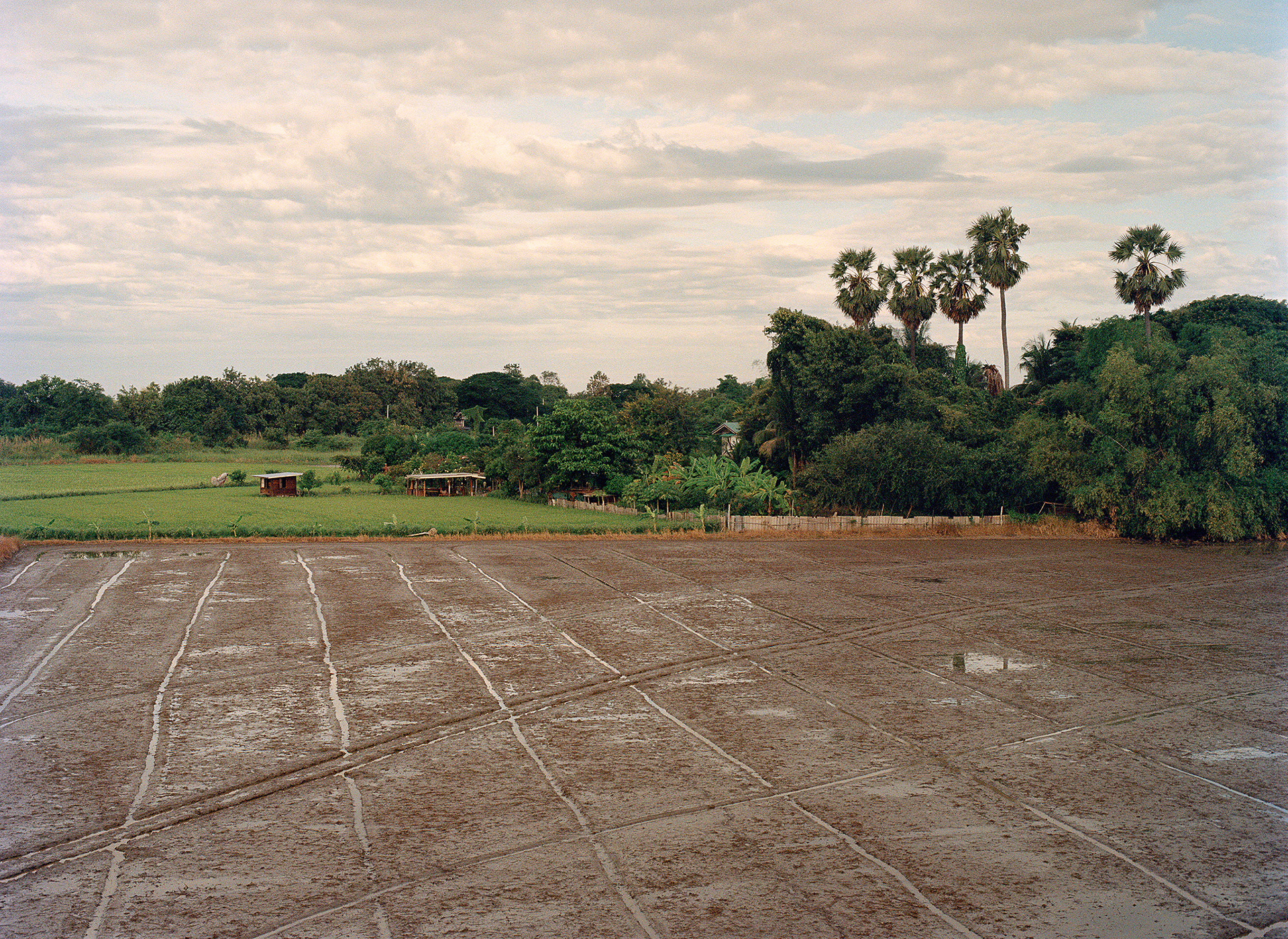 Field in In Buri, Thailand, 2024