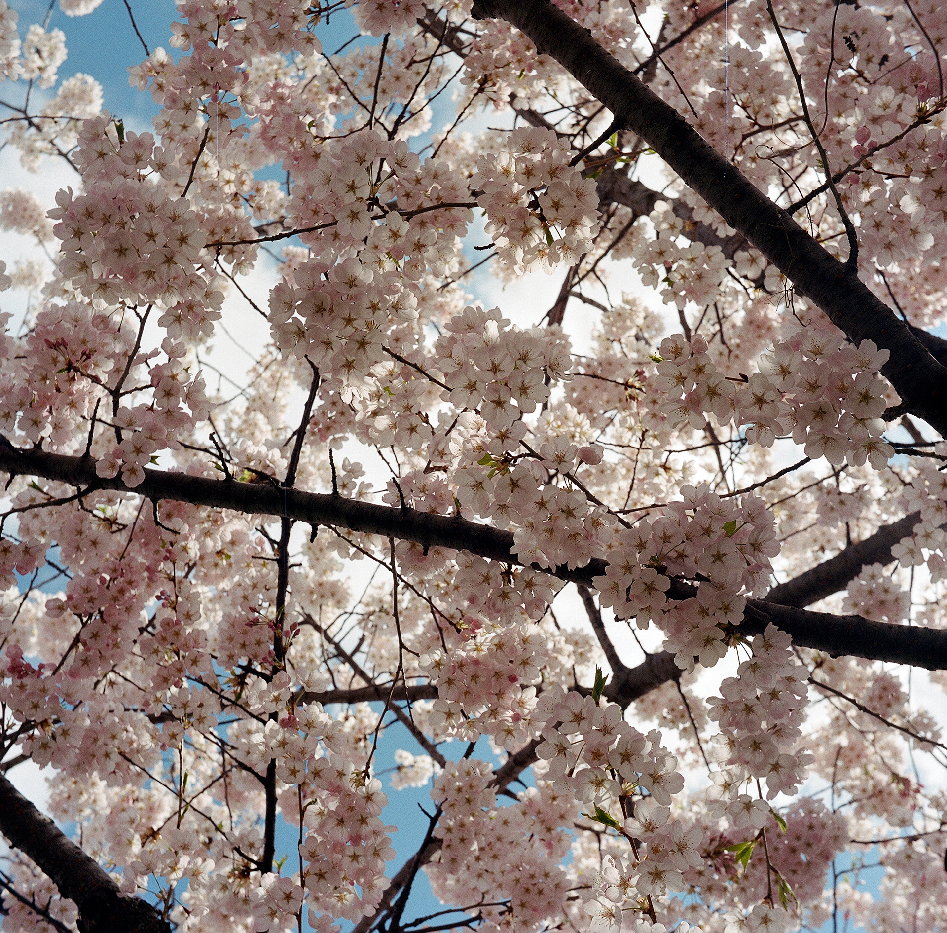 May