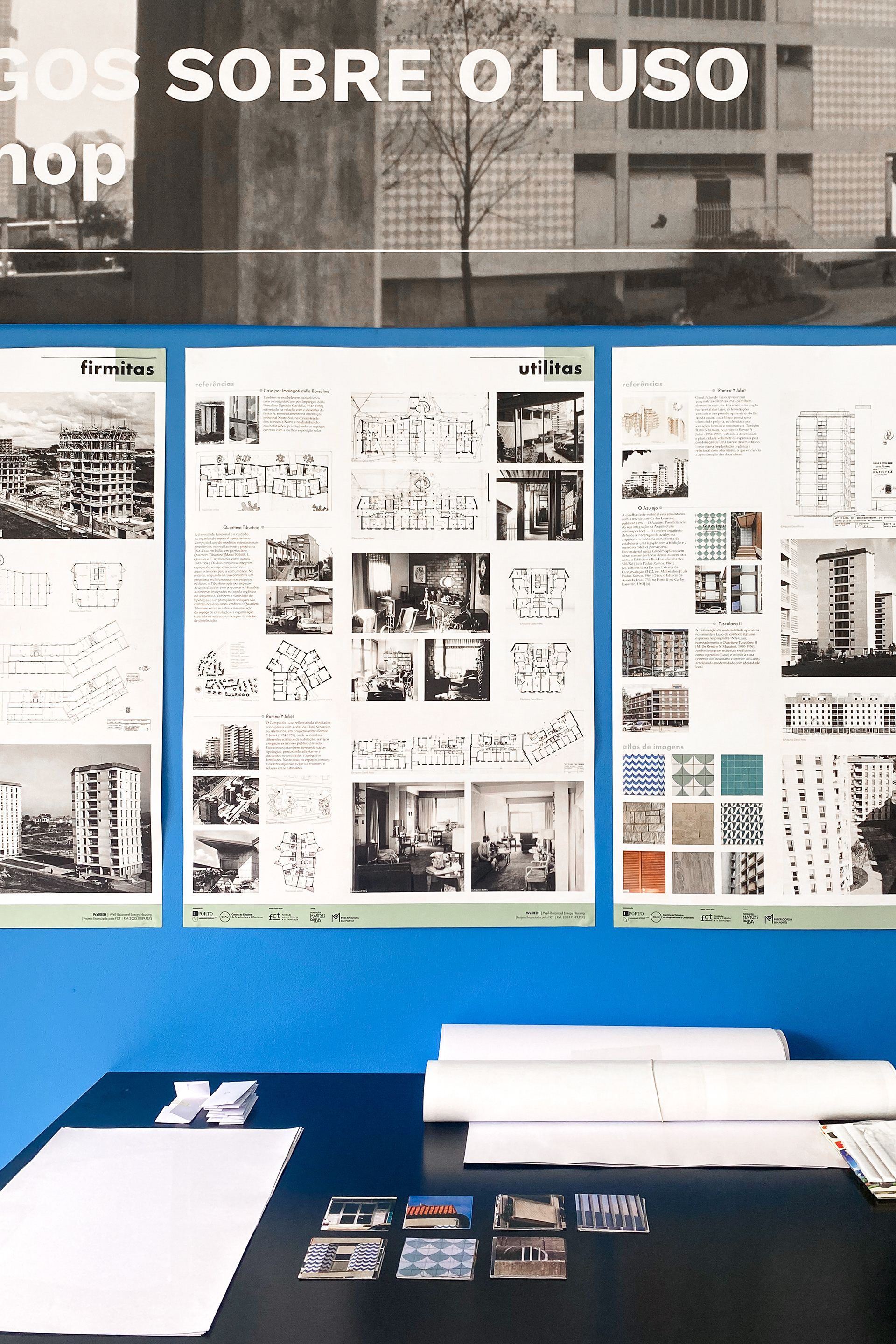 ©️Martina Ghilardi