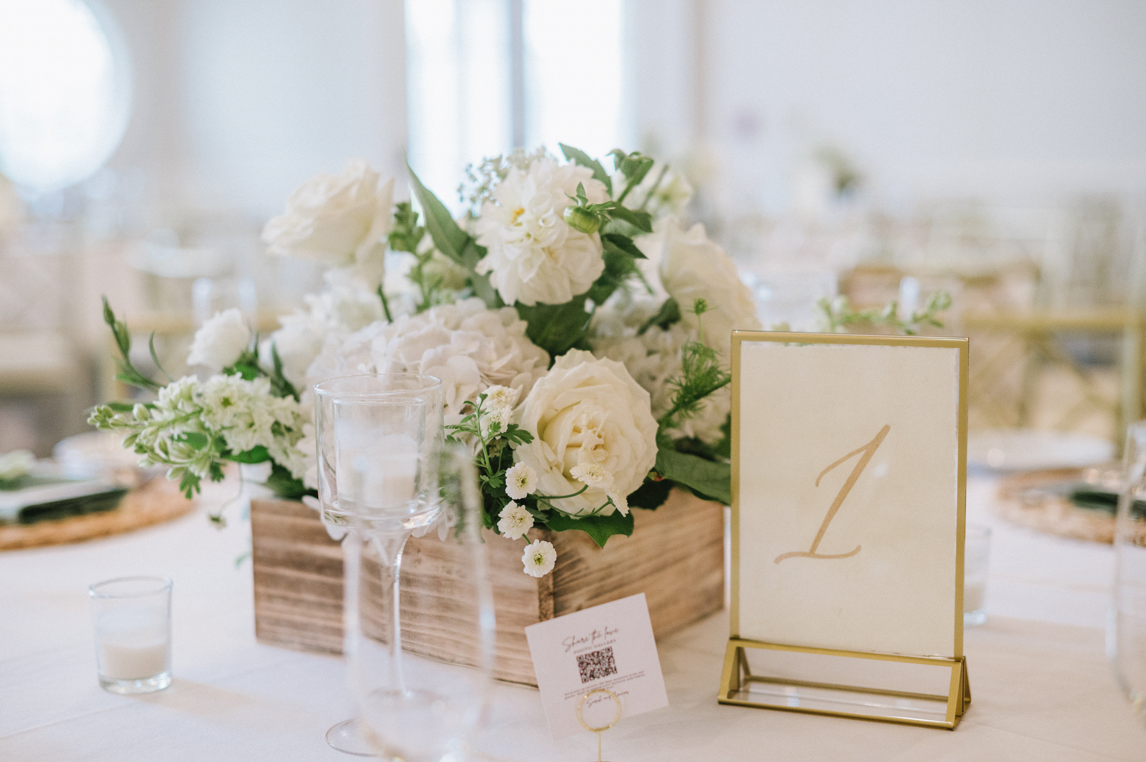 Offbeet Productions Photo + Film