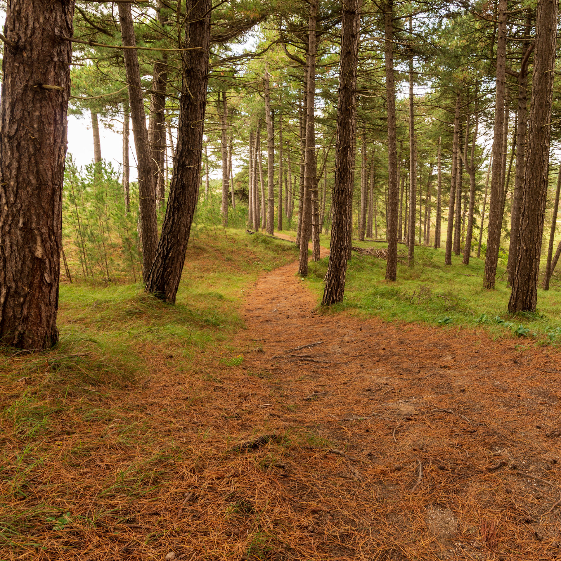 Bloemendaal, Netherlands, 2023