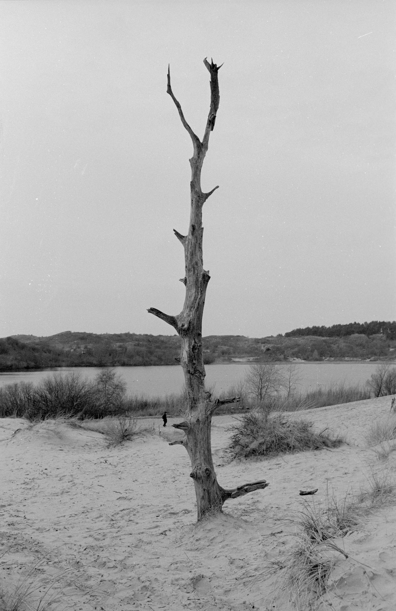 Overveen, Netherlands, 2019