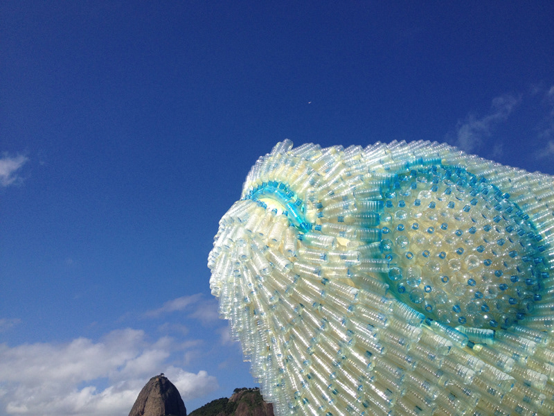 Projeto para Rio +20