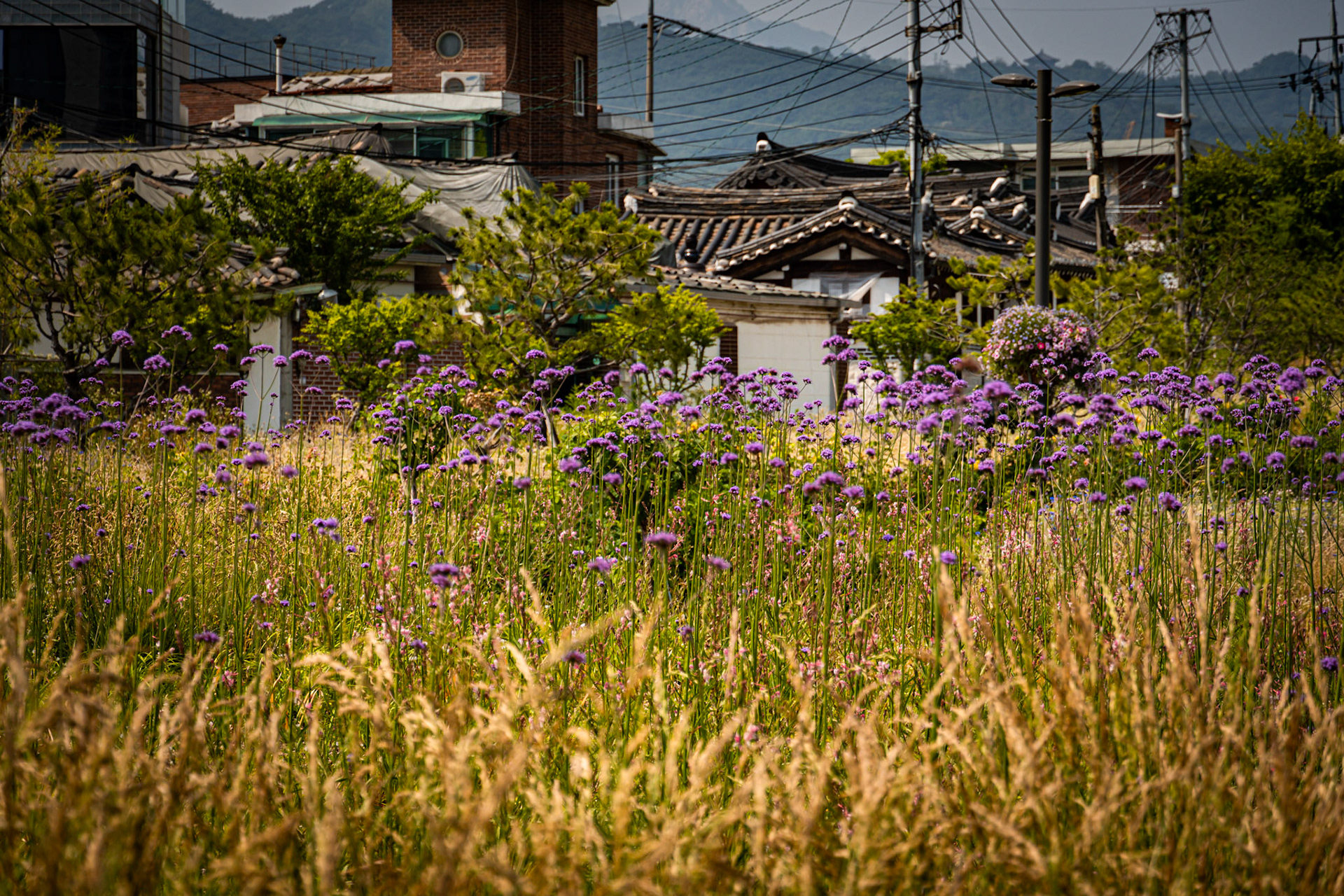 Yeollin Songhyeon Square