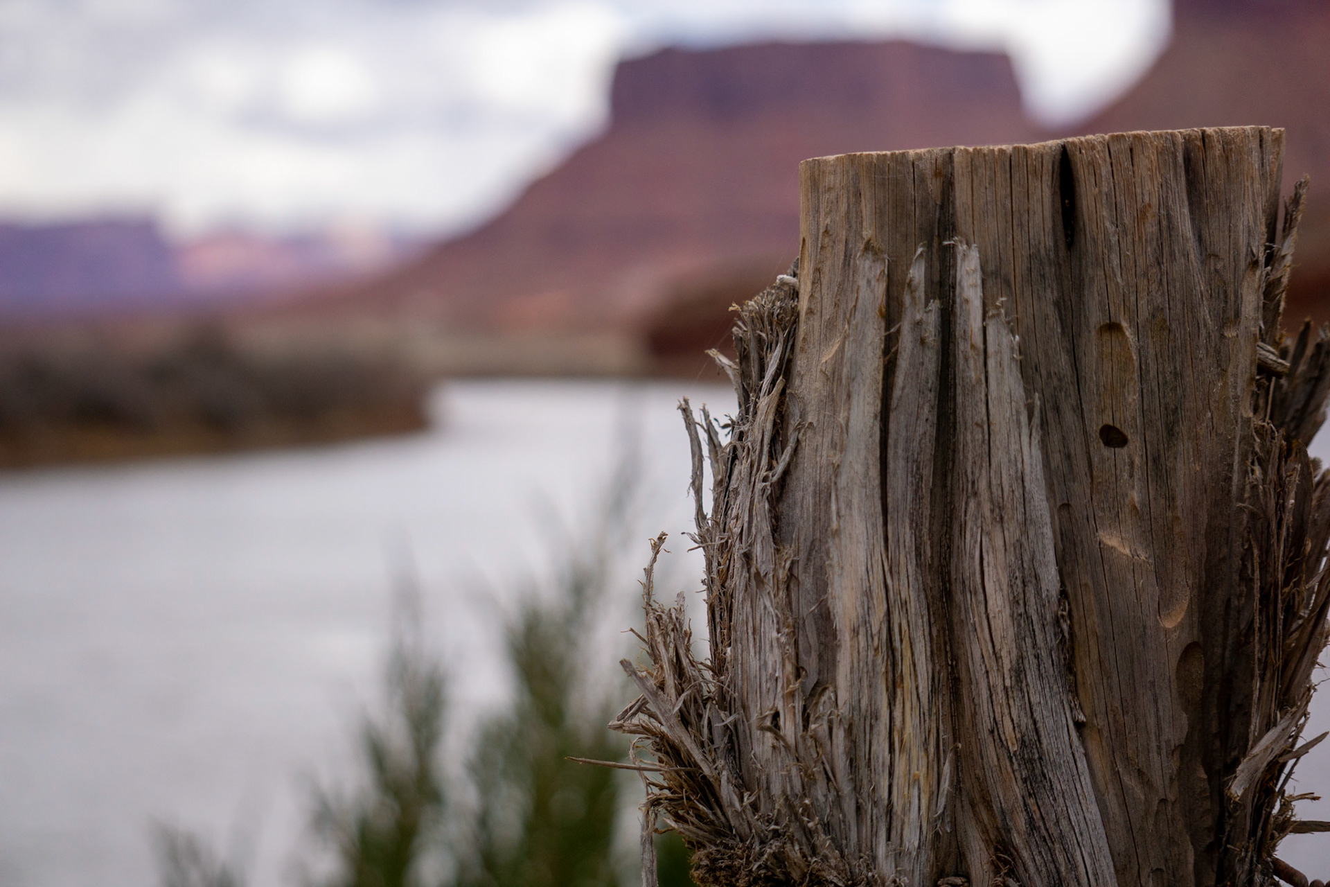 Fence Post