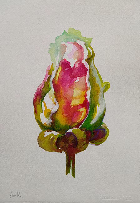 Flor de estos días. 17,7x25,7 cm.