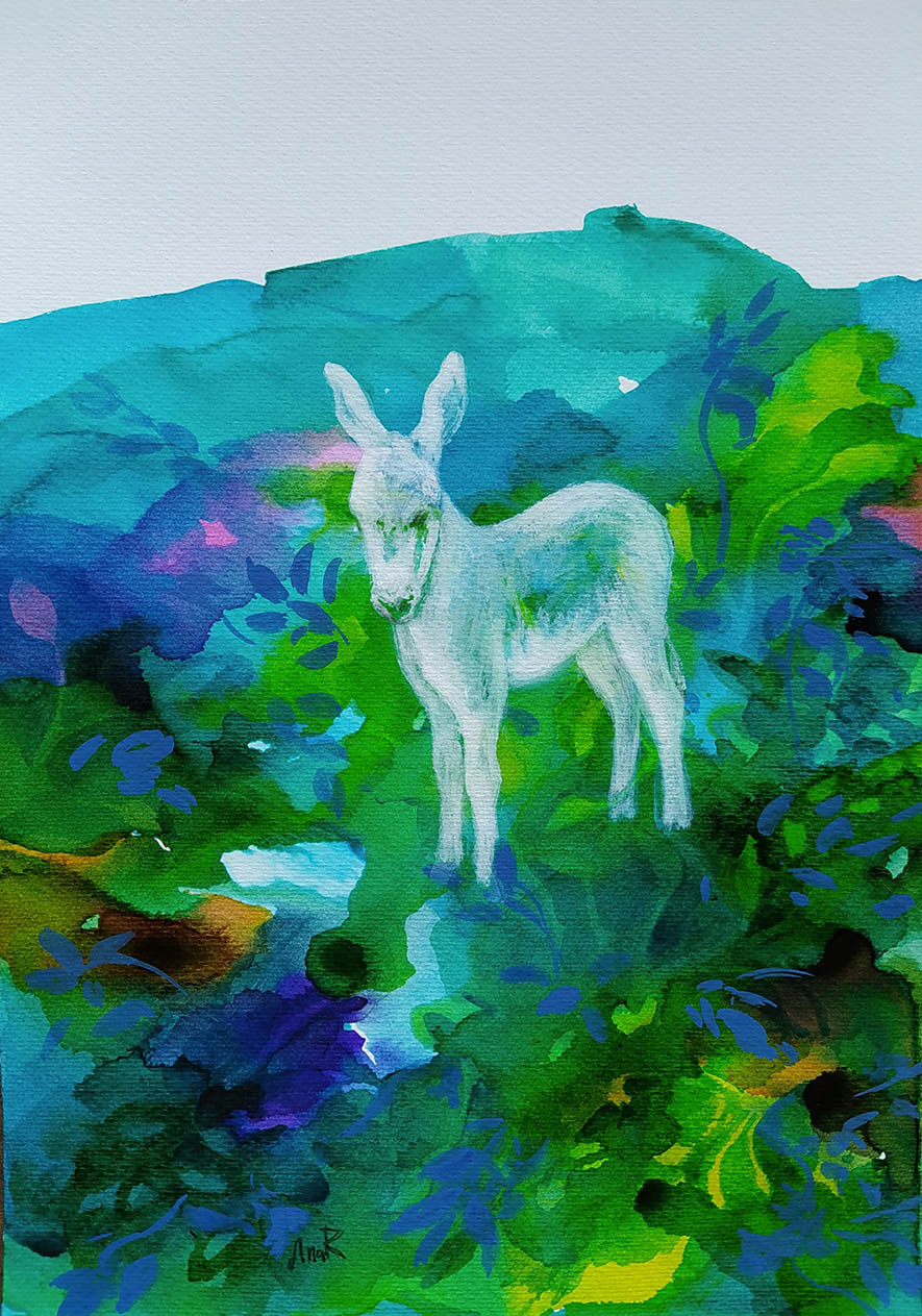 Platero. 20x28,7