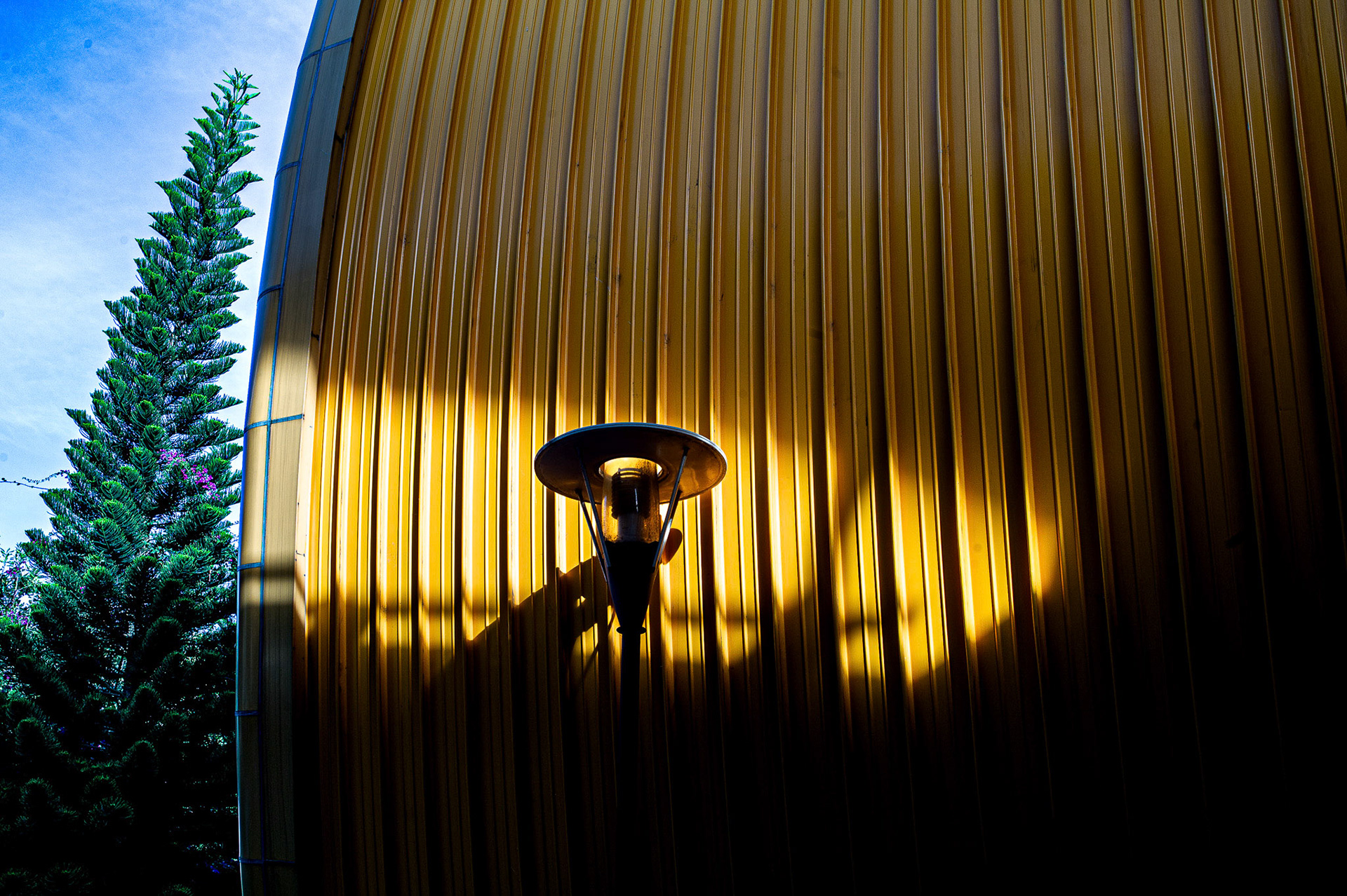 "The Lamp of Lien Khuong"