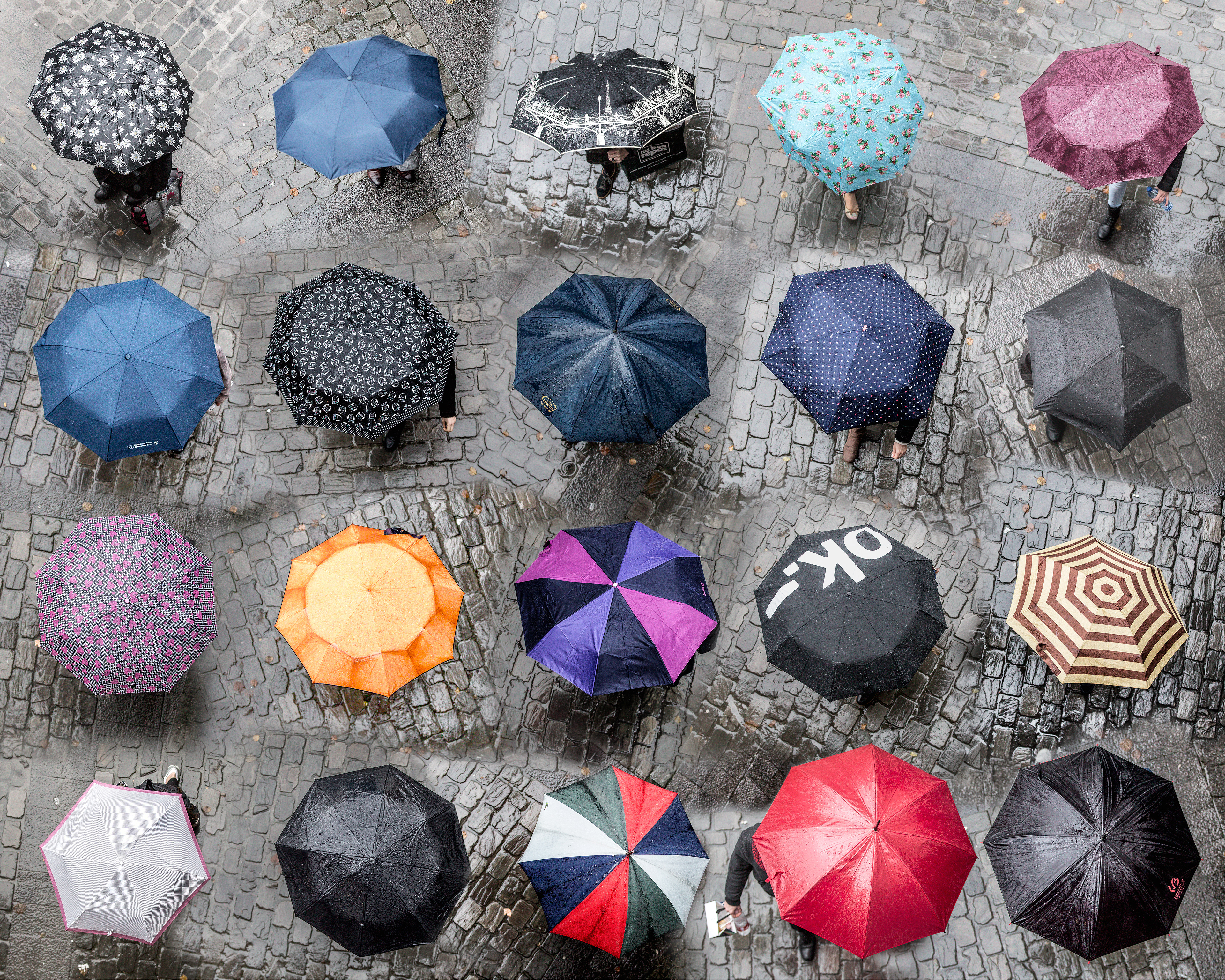 Umbrellas, Special Edition, 50x40cm