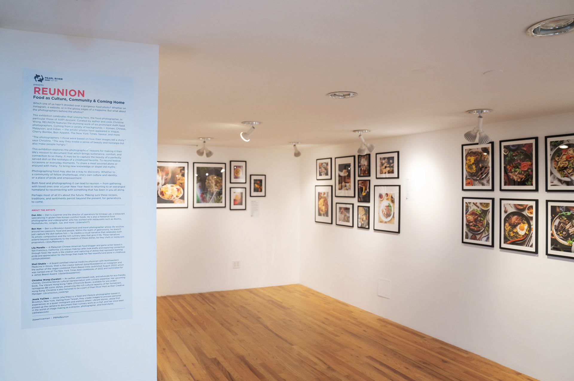 Gallery curation and installation