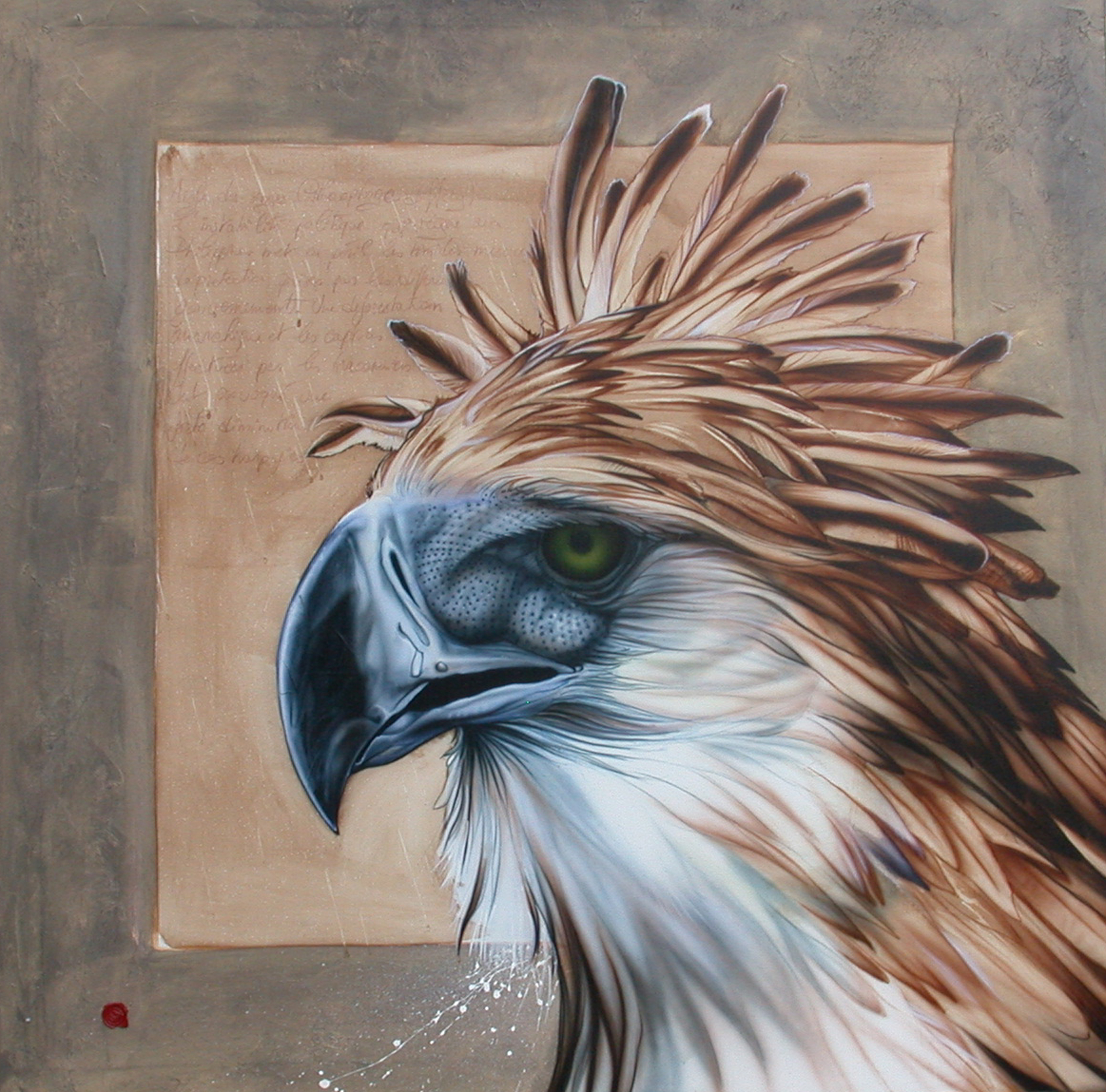 Aigle des singe - DAVID P.