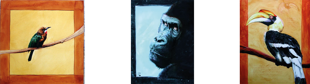 DAVID P. - ANIMAL