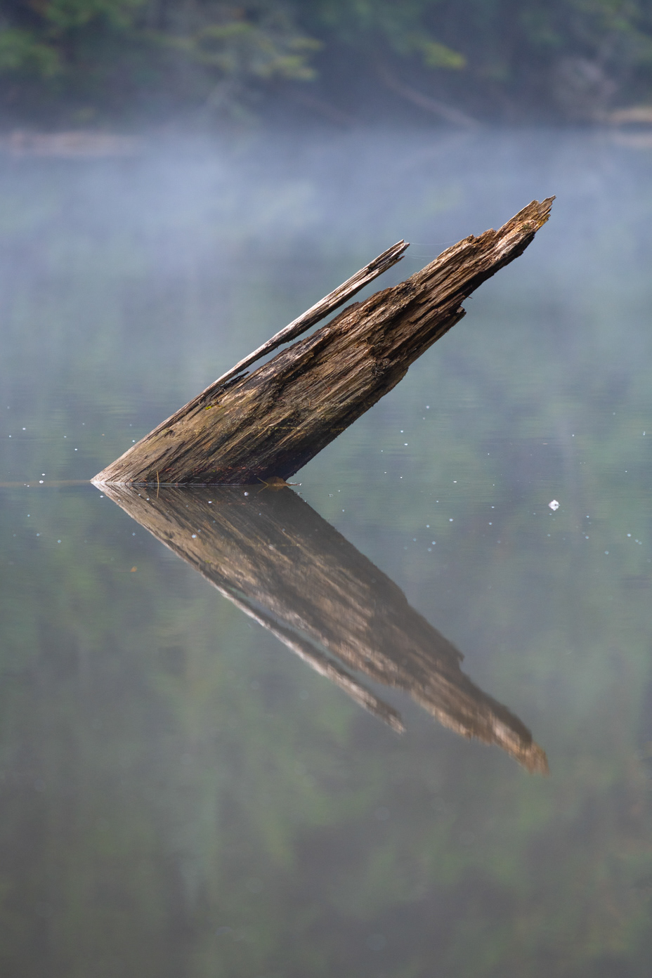 Reflection - Quebec