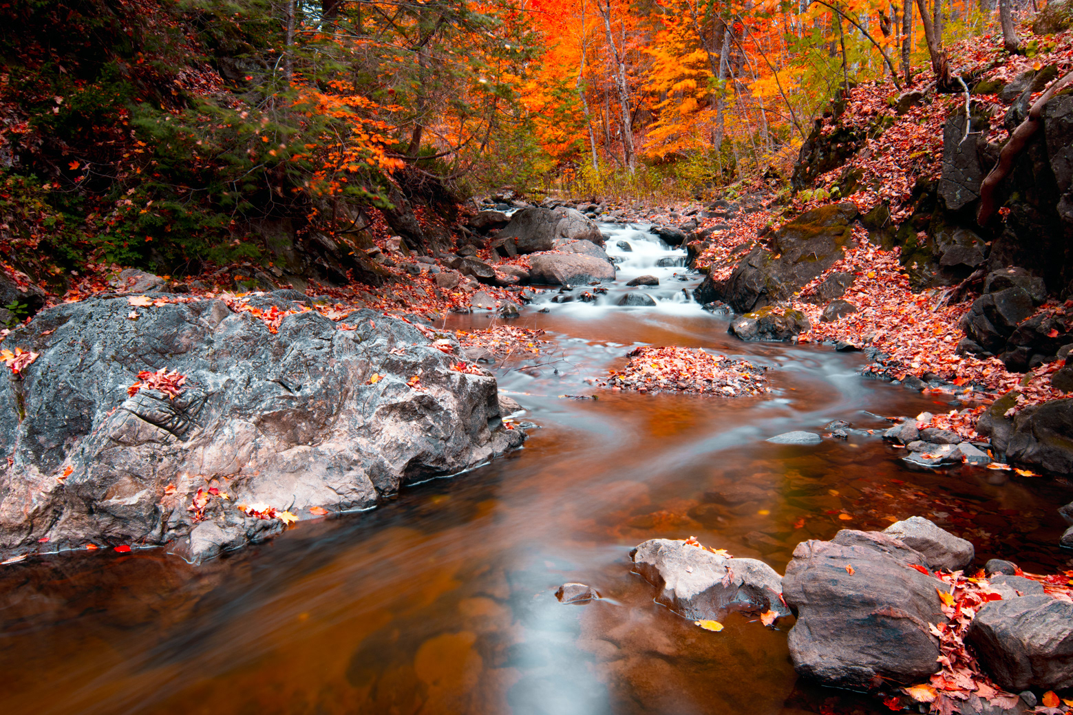 Hidden Stream - Quebec
