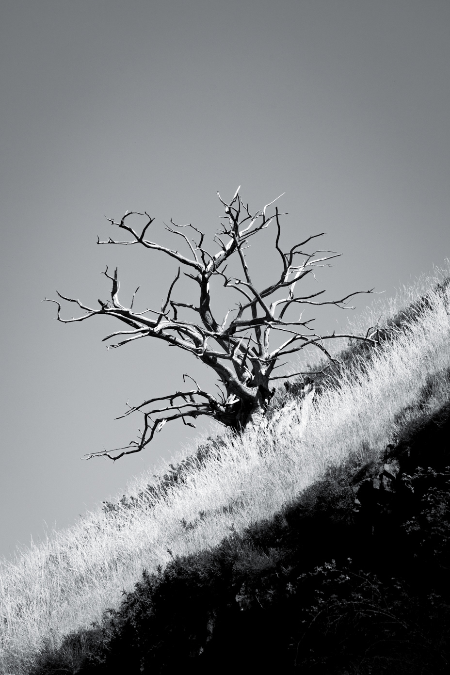 Still Standing - Cantabria