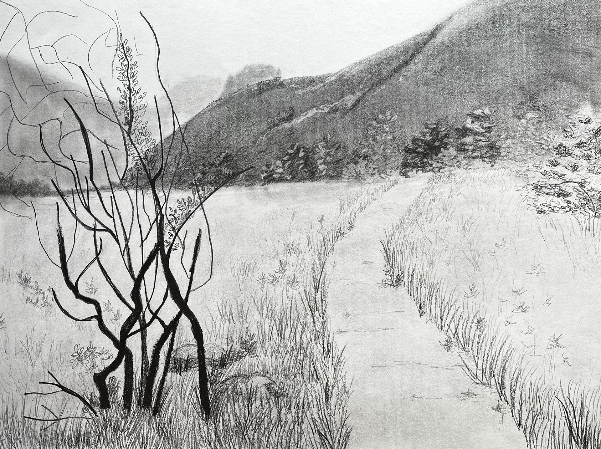 Afternoon in Santa Paula Canyon, 18"x24", Graphite on Paper