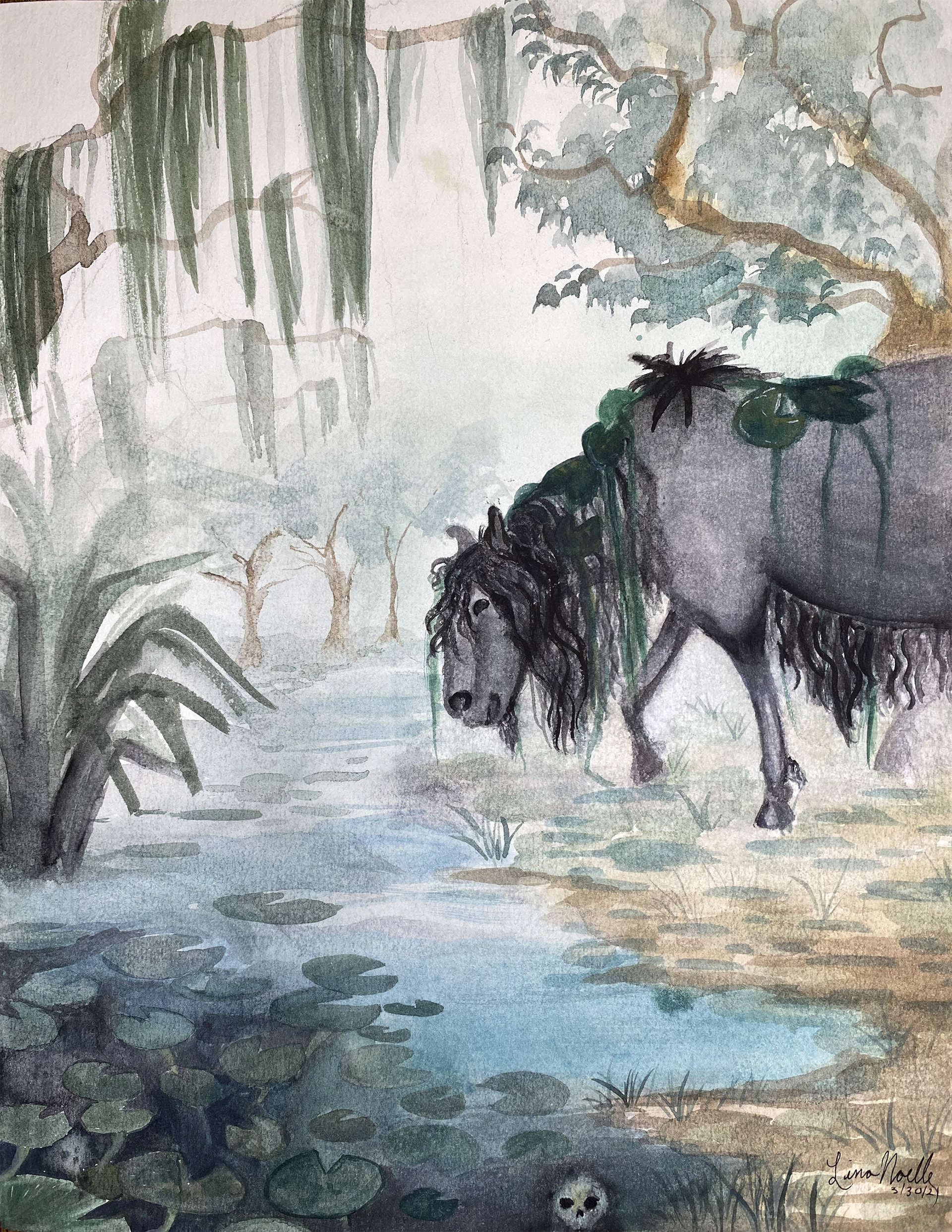 Kelpie, 8.5" x 11", Watercolor on Paper